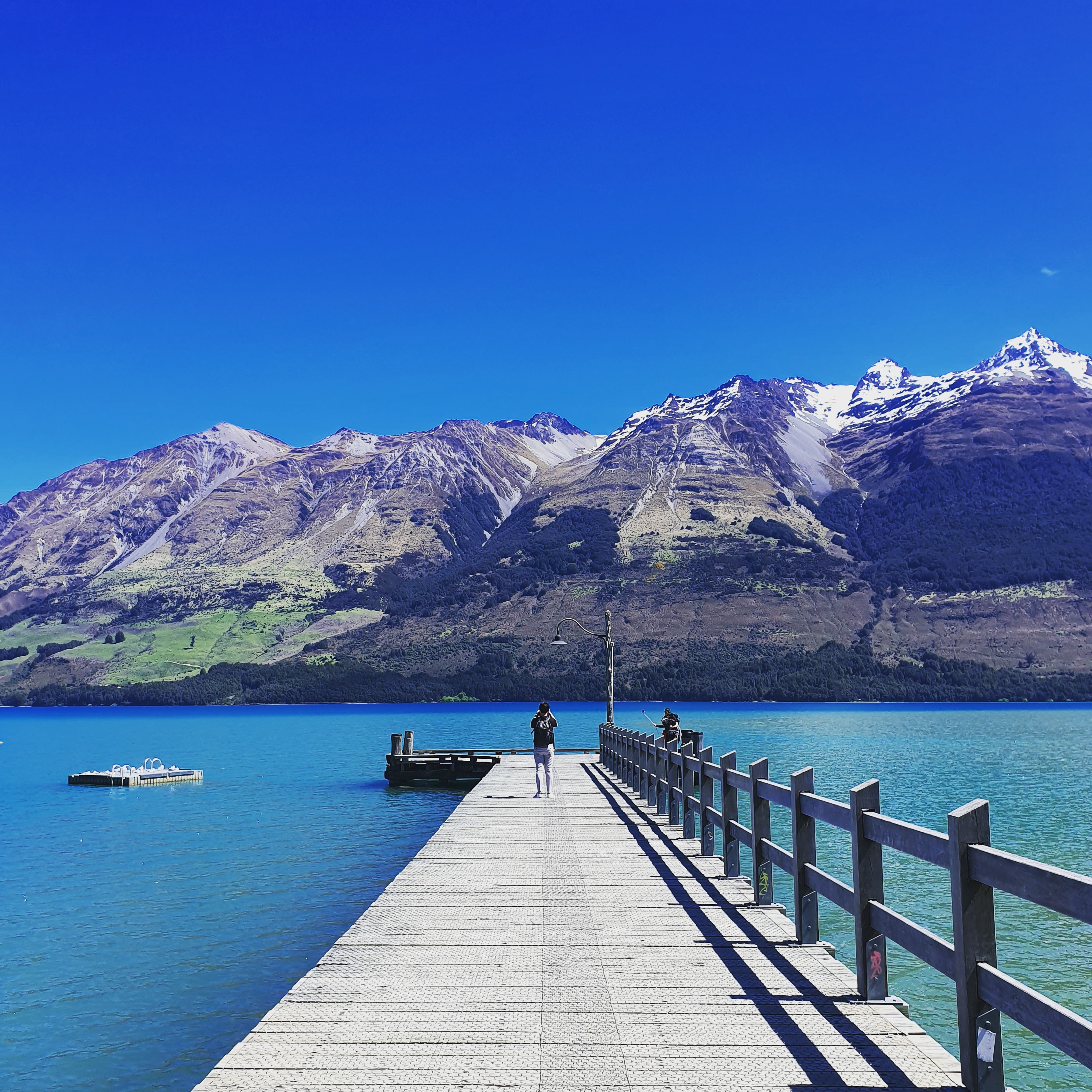 Glenorchy Kiwi Special Tour, from Queenstown