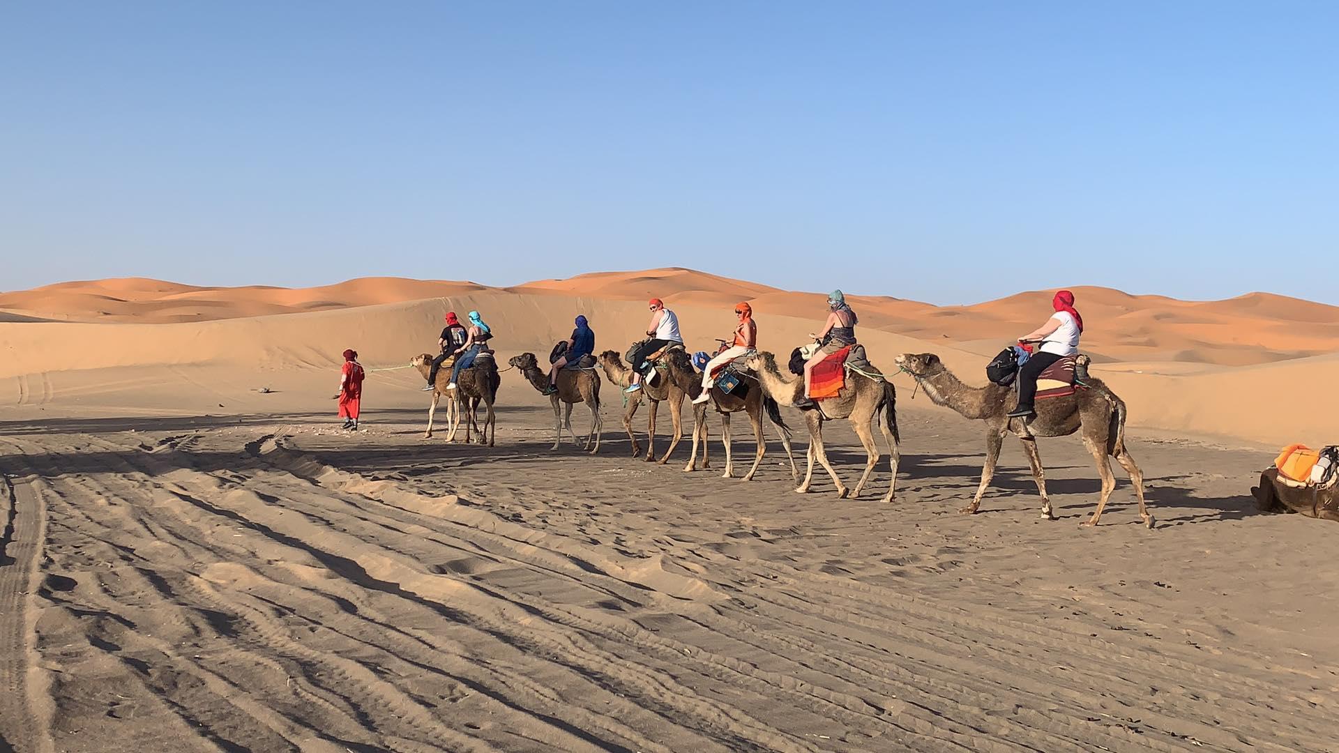 Erg Chebbi Overnight Camel Trek from Merzouga