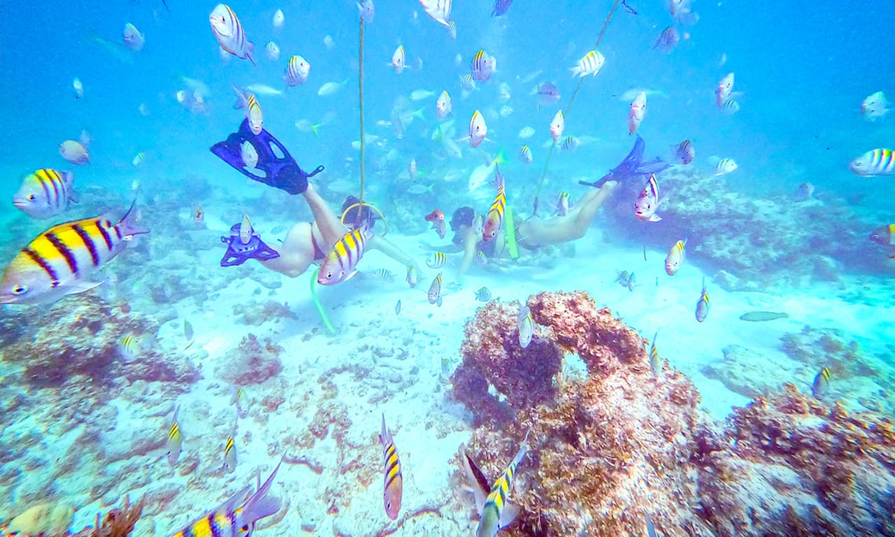 Bavaro Power Dive & Natural Pools Experience