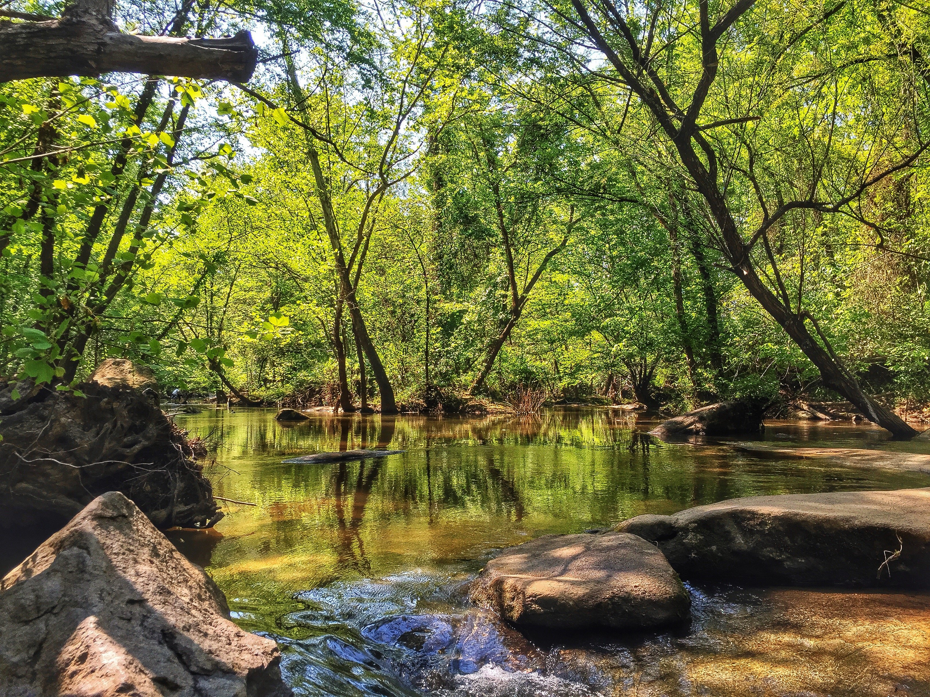 Caminhada Guiada pelo James River Park em Richmond
