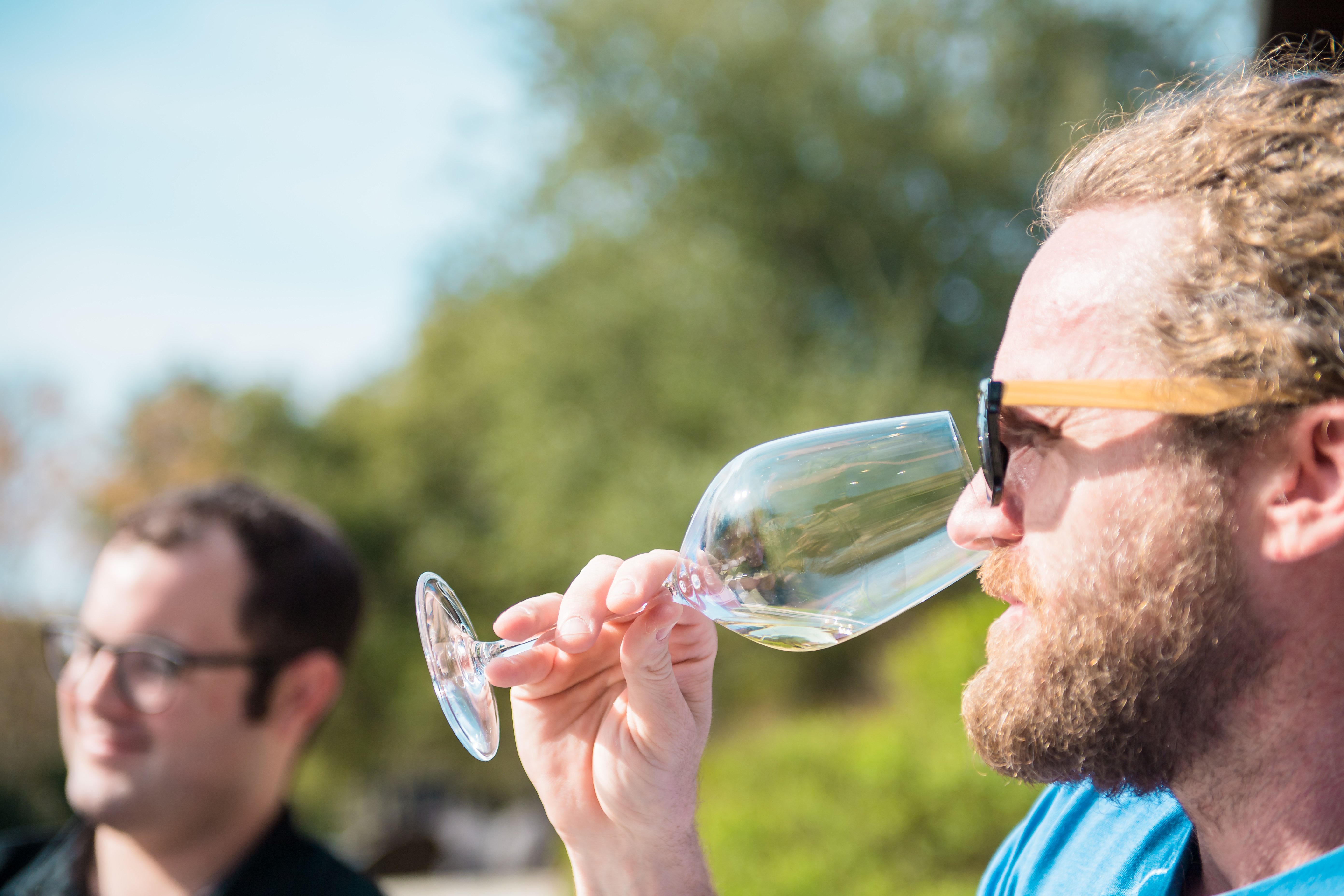 Hill Country BBQ and Winery Shuttle from Austin
