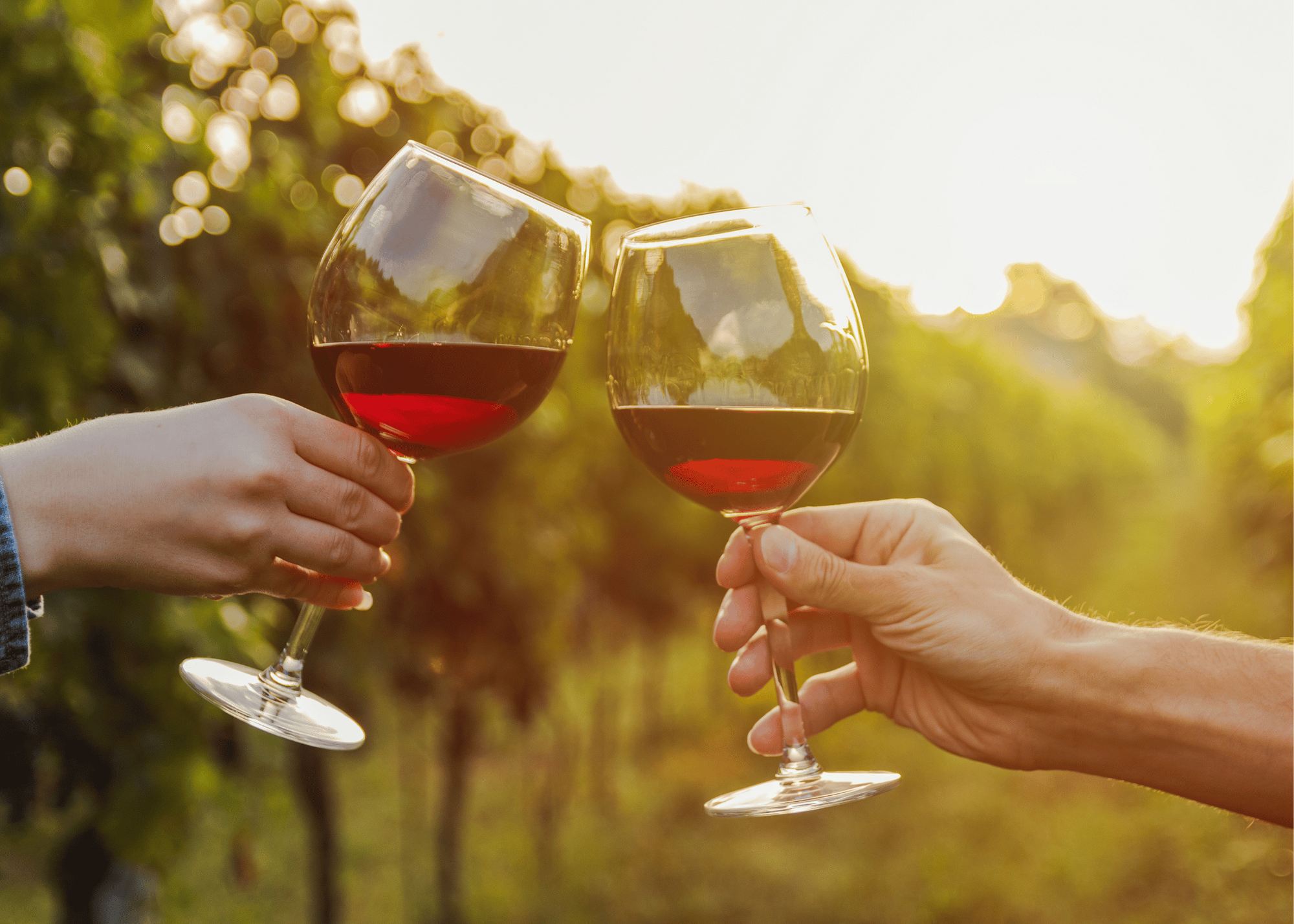 Hill Country Wine Shuttle from Austin