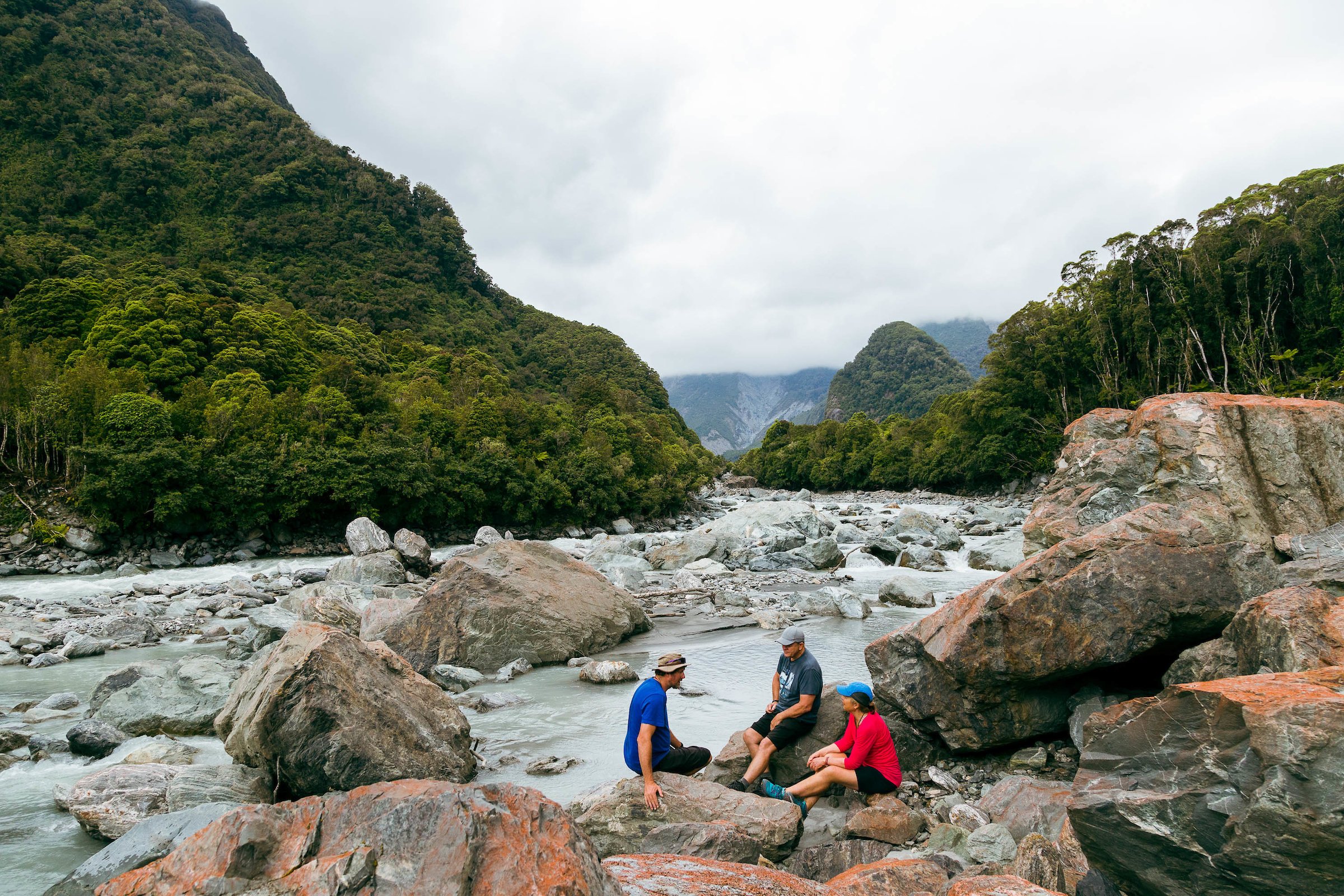 Fox Glacier: Half Day Walking & Nature Tour with Local Guide