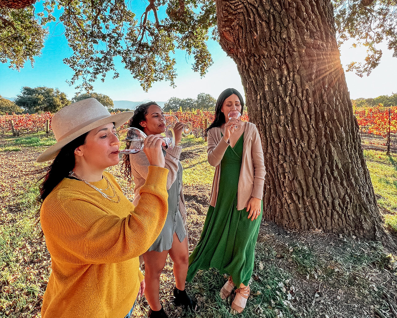 Santa Ynez Valley Wine Tasting Experience