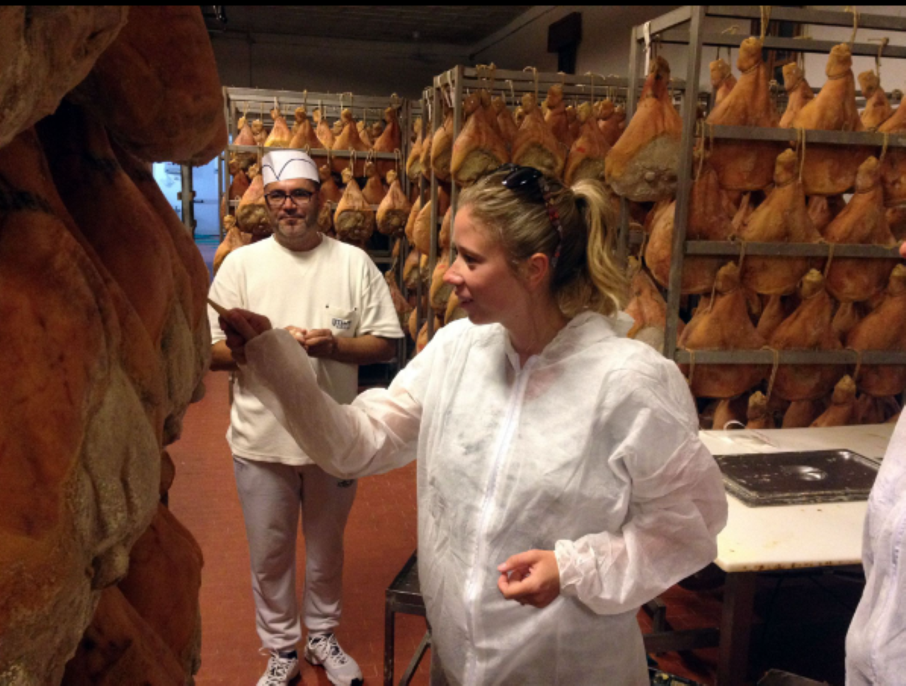 Parmesan factory tour — Parmigiano Reggiano dairy and ageing wheels — image 7
