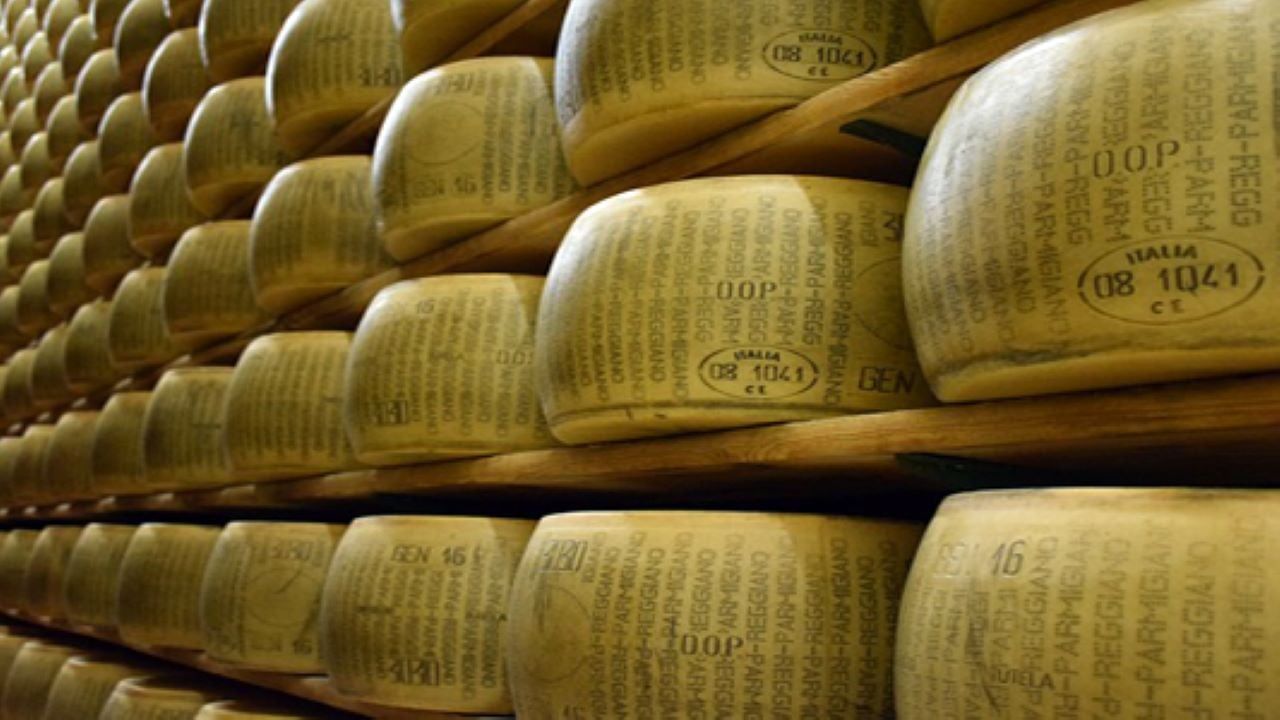 Parmesan factory tour — Parmigiano Reggiano dairy and ageing wheels — image 5