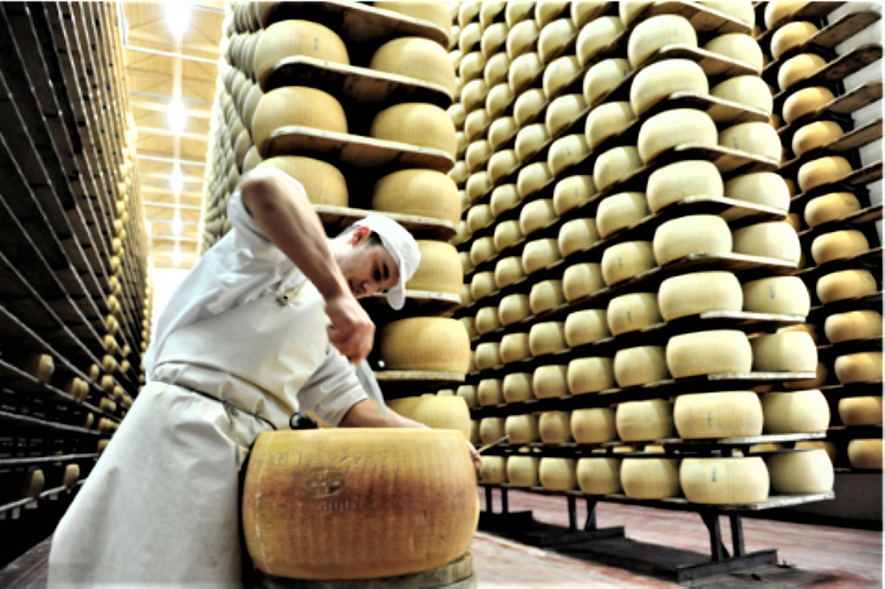 Parmesan factory tour — Parmigiano Reggiano dairy and ageing wheels — image 3