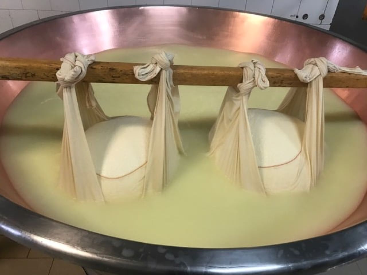 Parmesan factory tour — Parmigiano Reggiano dairy and ageing wheels — image 6