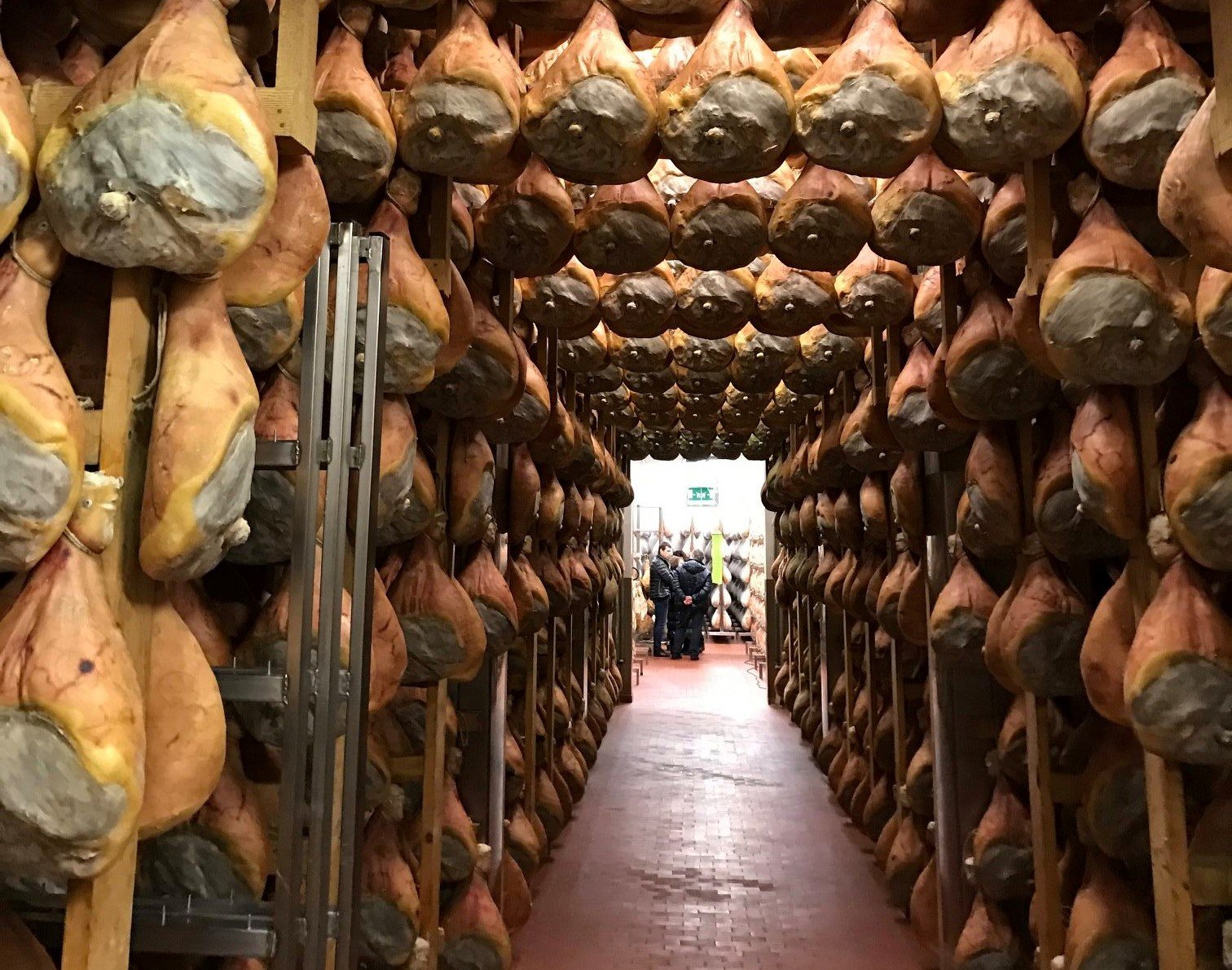 Parmesan factory tour — Parmigiano Reggiano dairy and ageing wheels — image 8