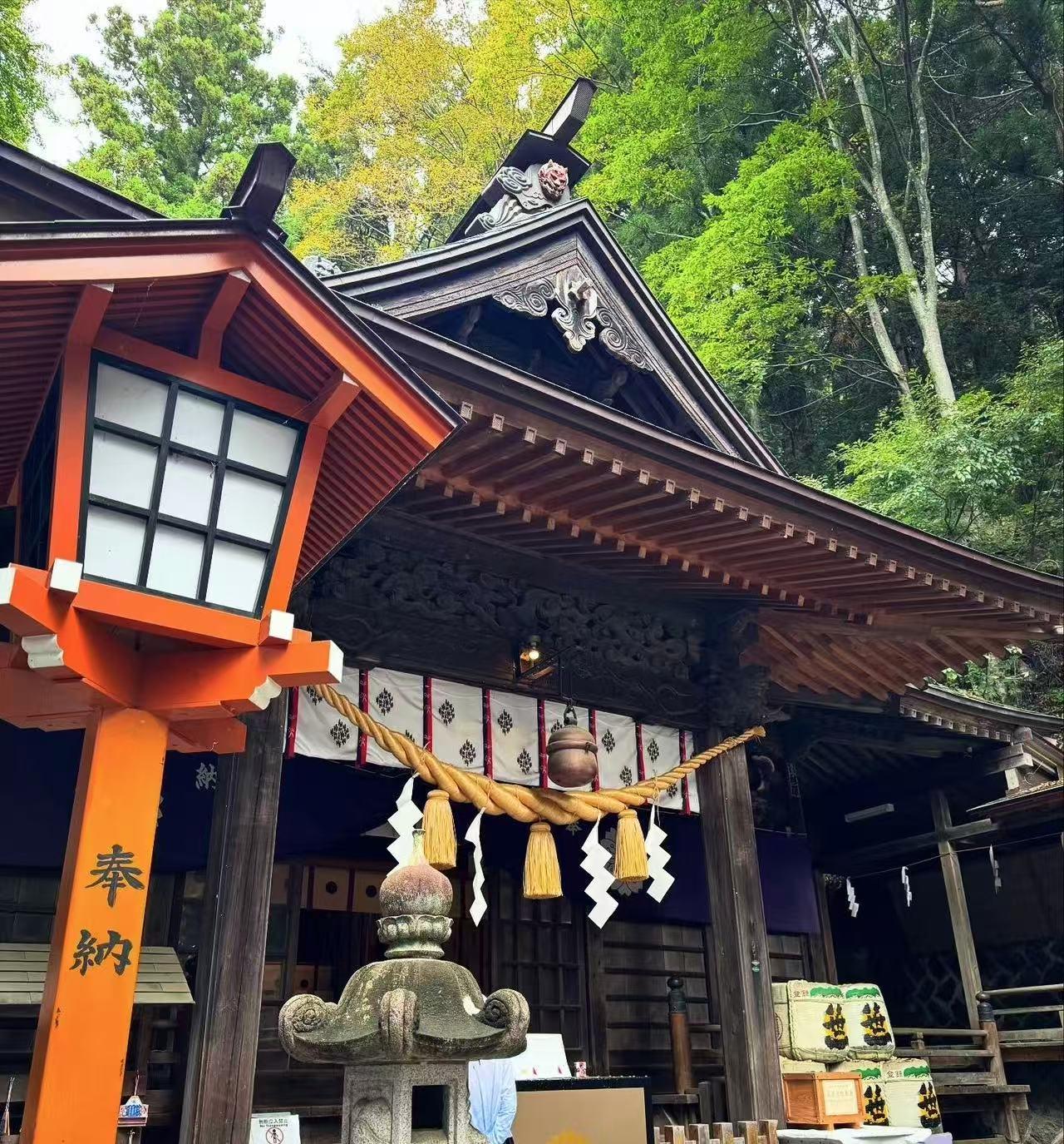 Mount Fuji Day Trip: Scenic Parks, Springs, and Photo Hotspots