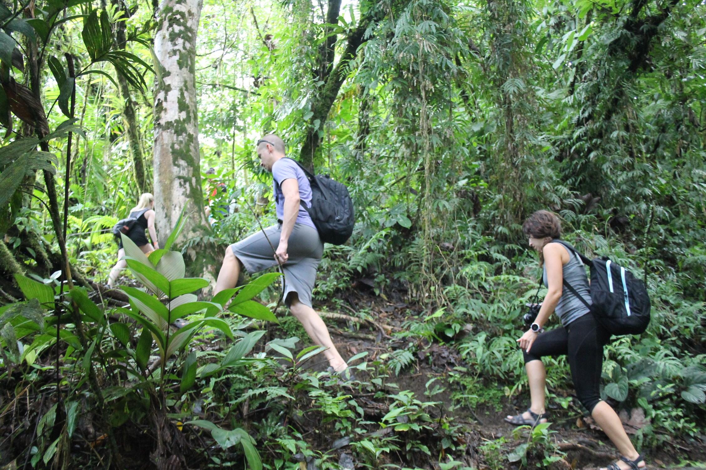 Arenal Volcano, Emerald Lake & Hot Springs Morning Tour