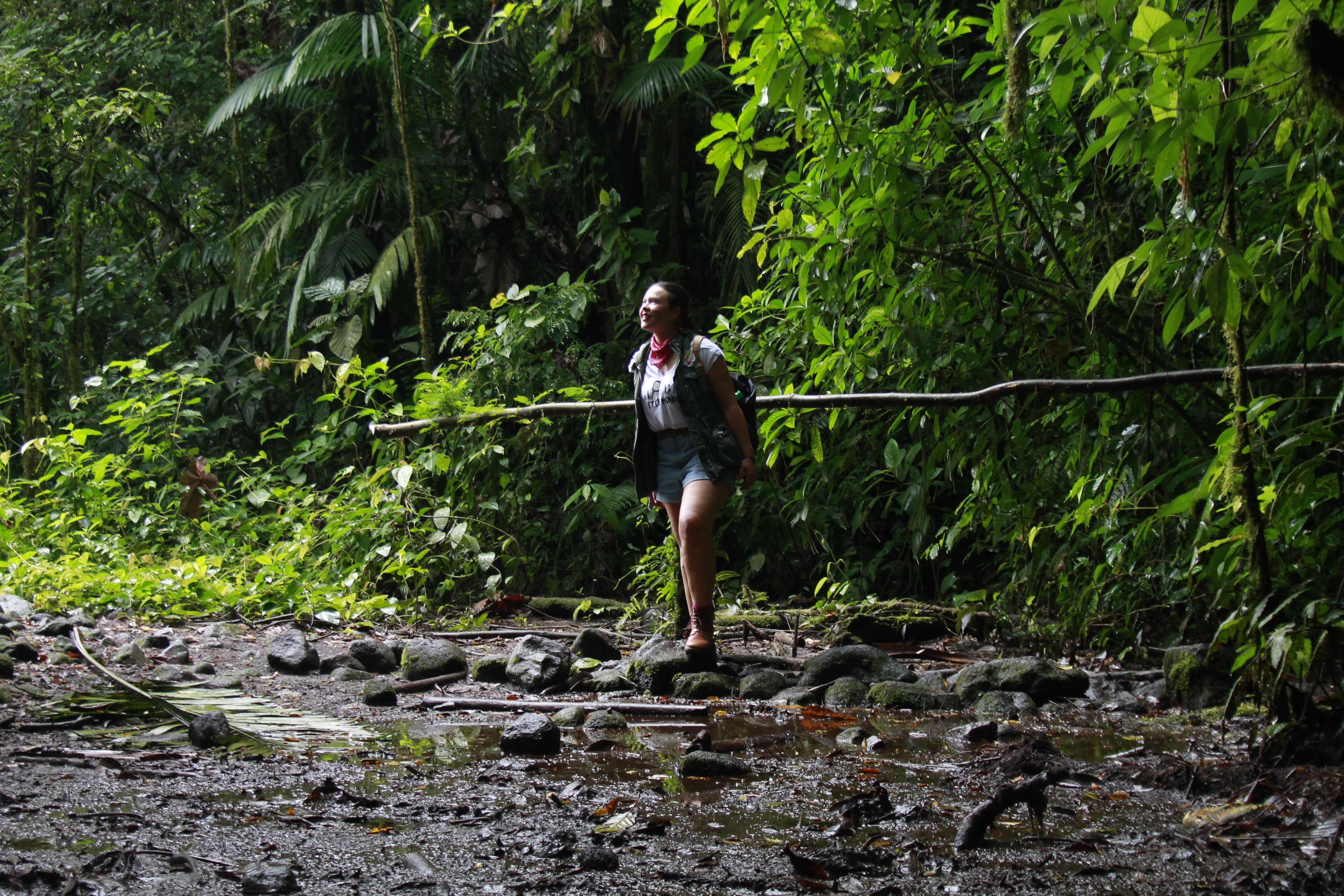 Arenal Volcano, Emerald Lake & Hot Springs Morning Tour