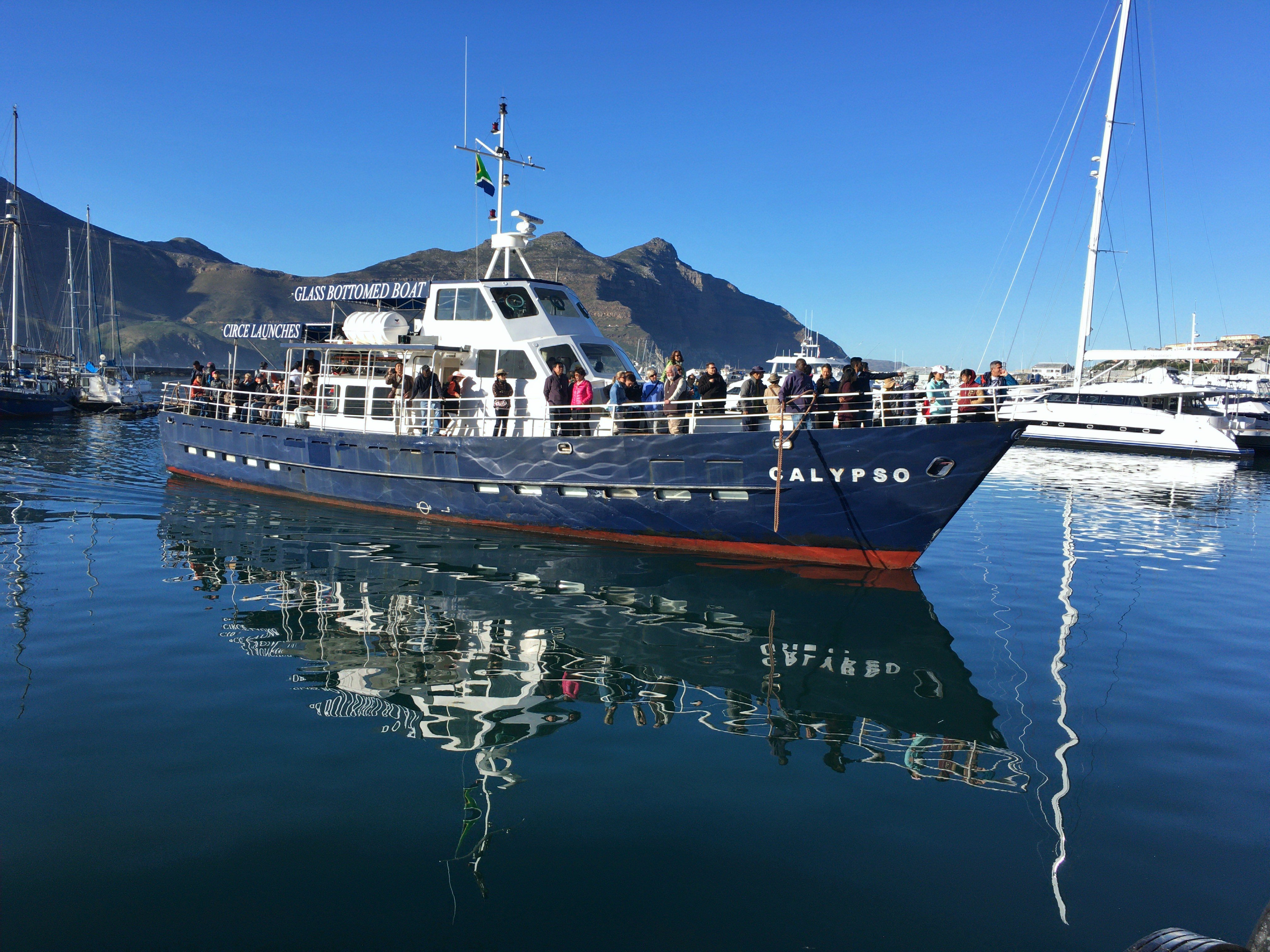 Hout Bay Glass-Bottom Boat & Seal Island Tour