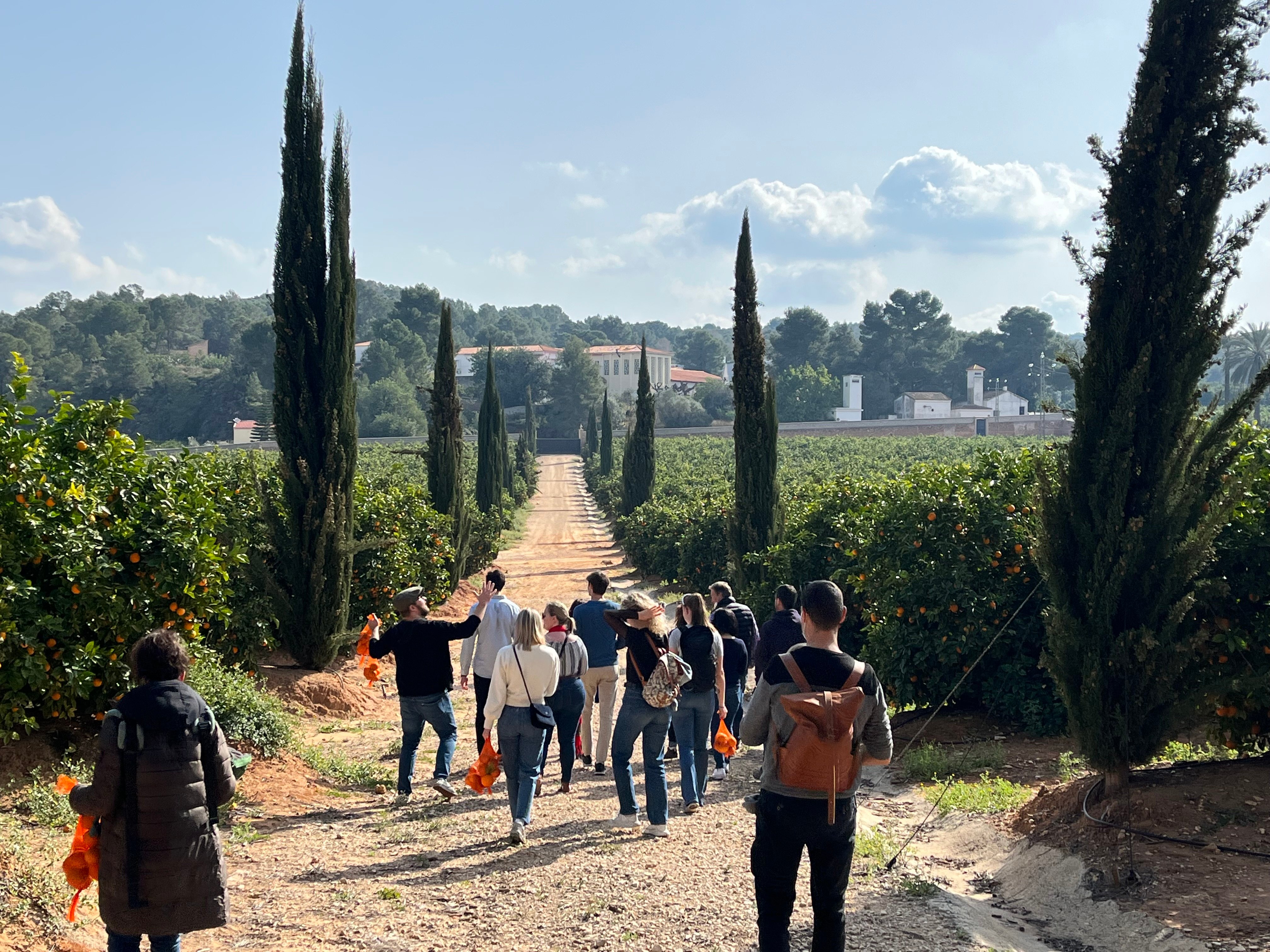 Valencia Orange Orchard & Farm Experience