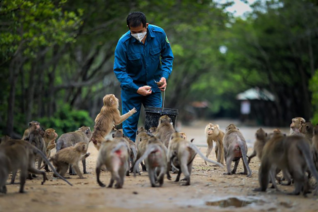 Can Gio Mangrove Forest & Monkey Island Day Trip
