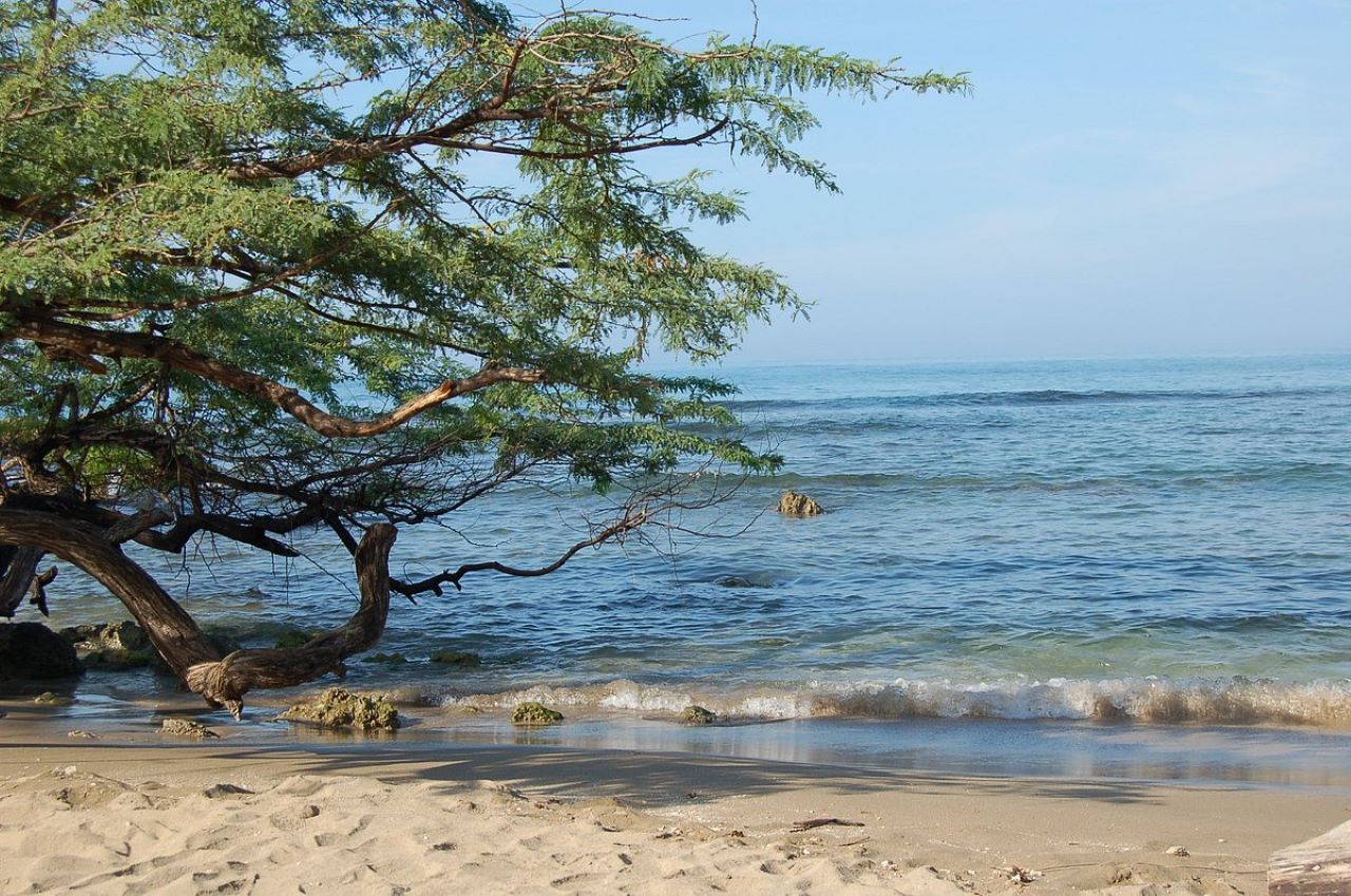 Private Airport Transfer: Montego Bay to Negril