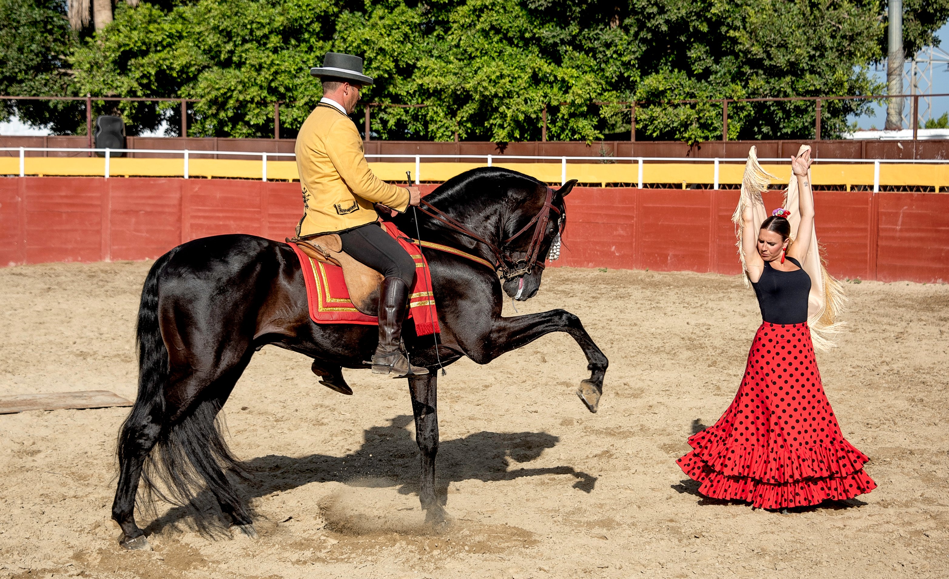 Cartujano Horse Show & Flamenco Evening at Finca El Cartujano