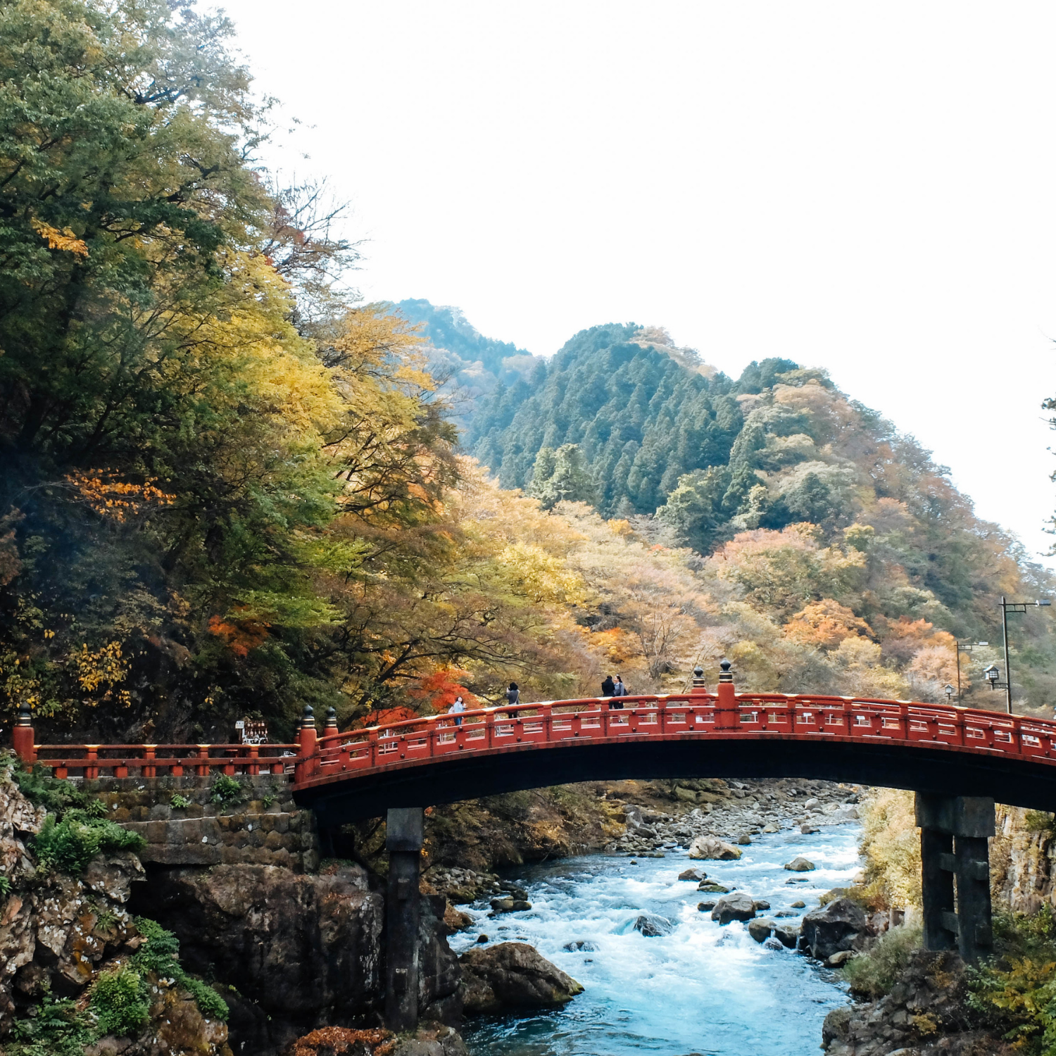 Private Nikko Day Tour from Tokyo – Fully Customizable
