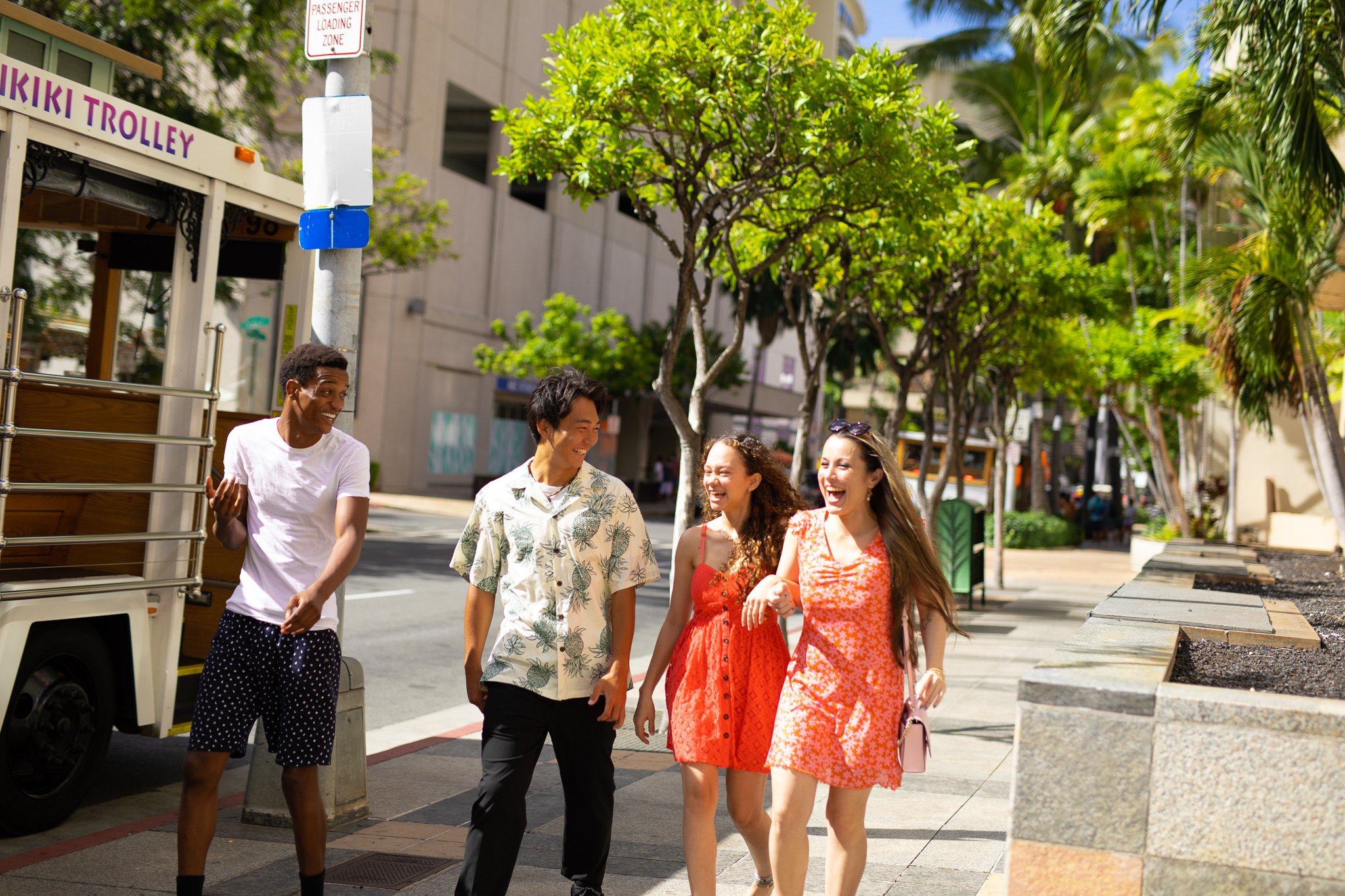Waikiki Trolley All-Line Hop-On Hop-Off Pass