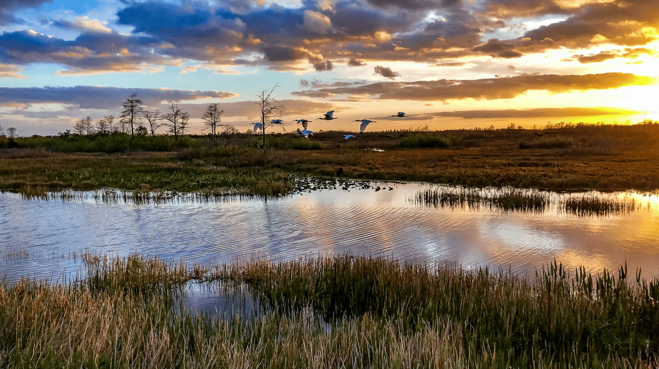 Everglades Airboat Adventure & Sawgrass Park Package