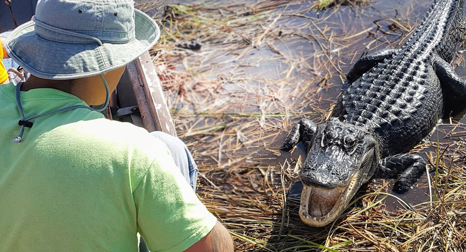Everglades Airboat Adventure & Sawgrass Park Package