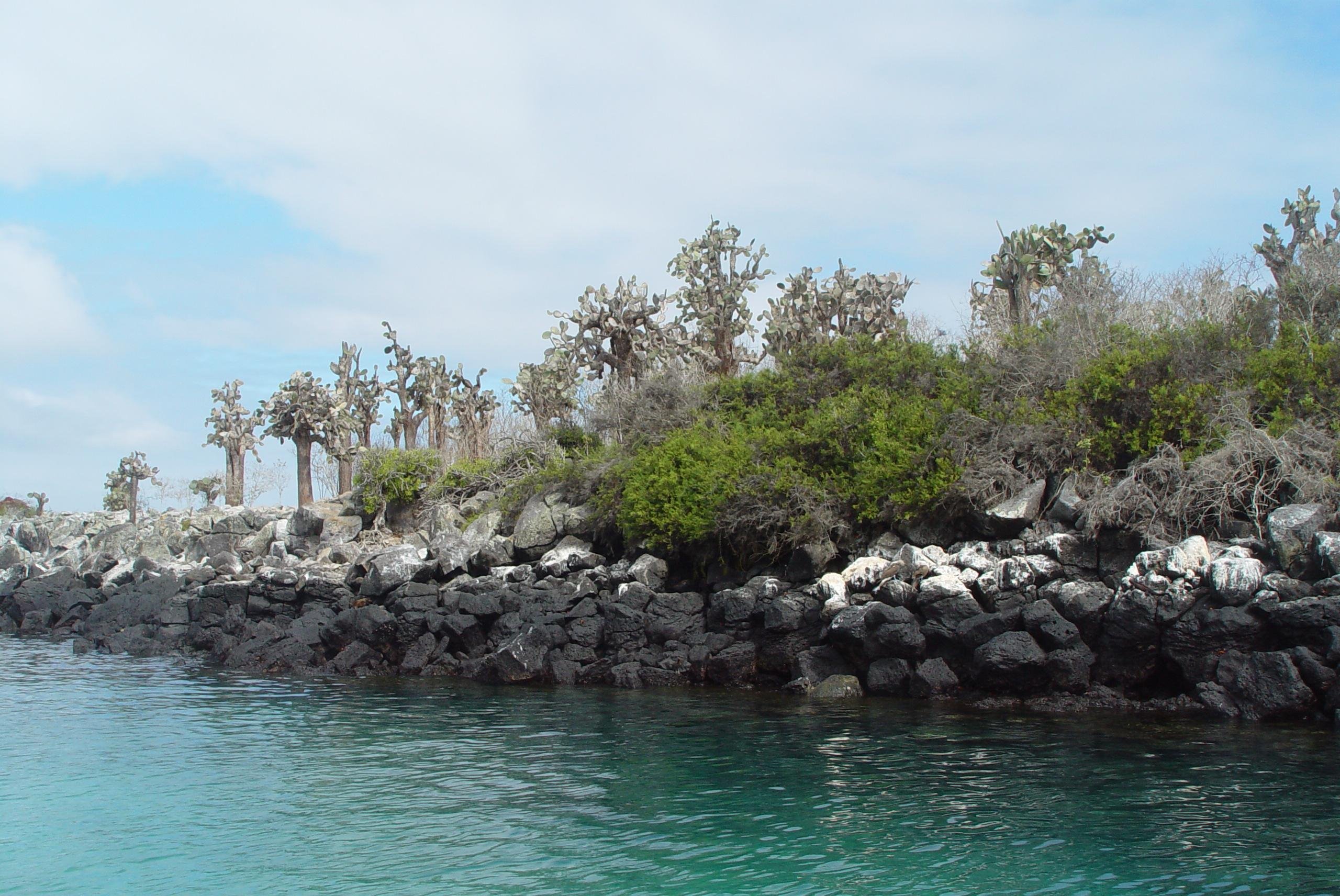 Santa Fe Island Snorkeling Adventure