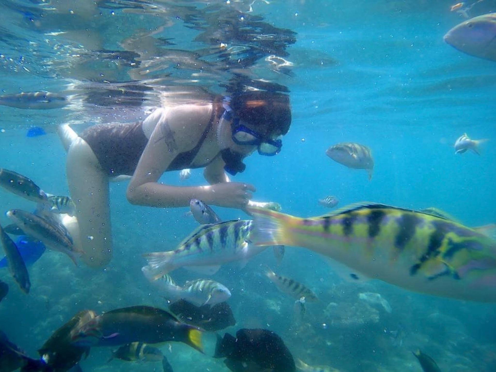 Bali Snorkeling Excursion: Blue Lagoon & Tanjung Jepun