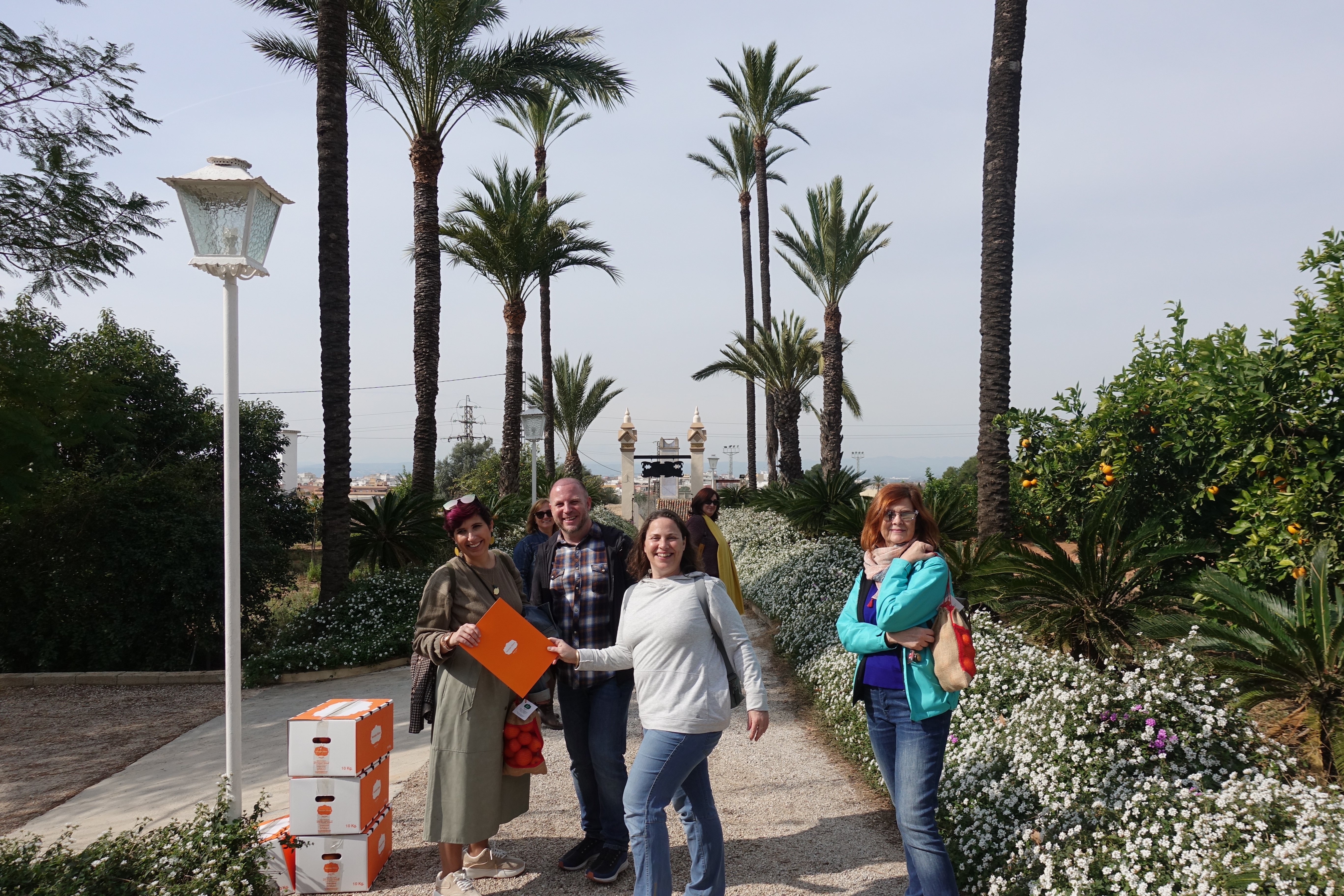Valencia Orange Orchard & Farm Experience