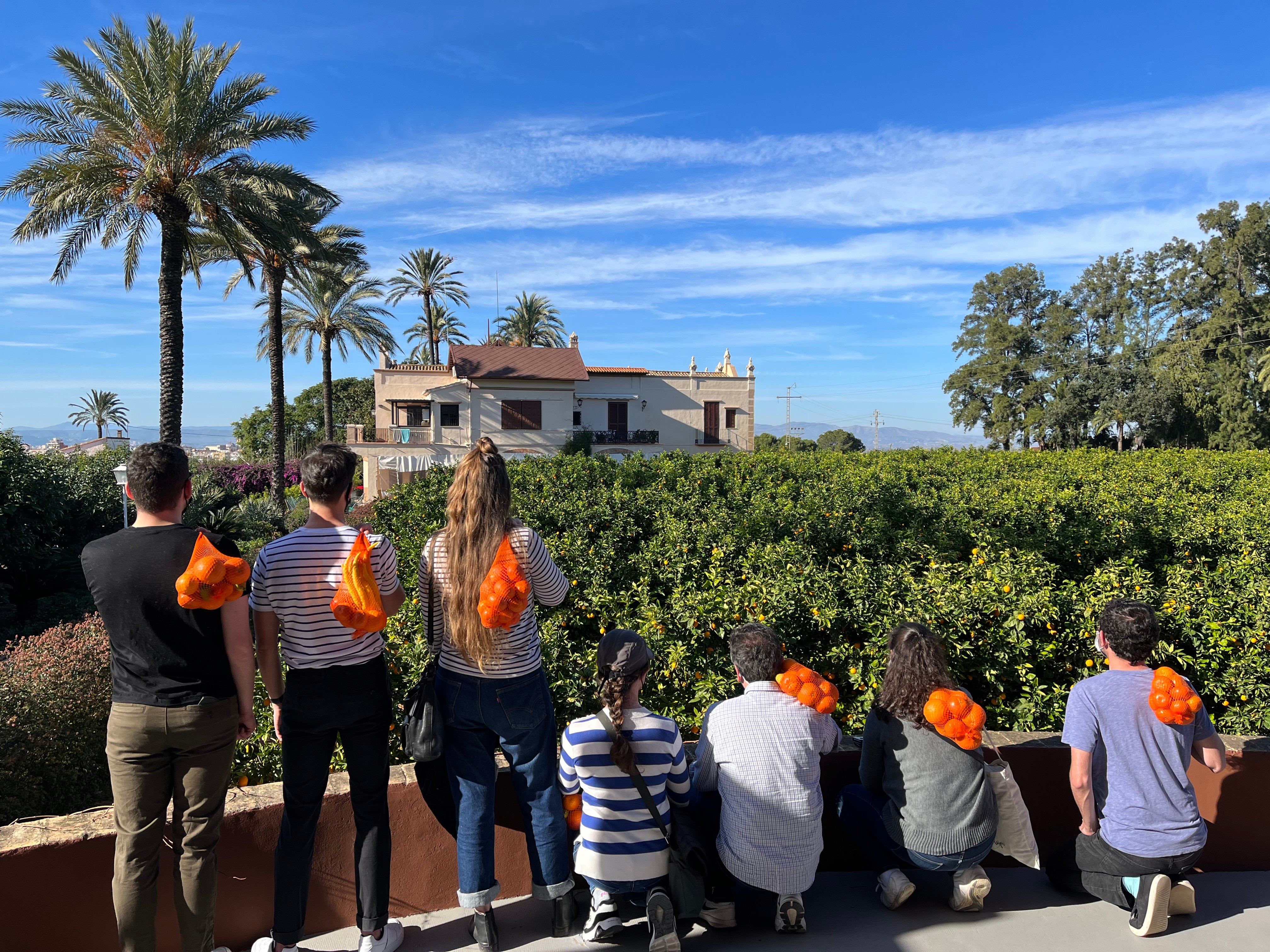 Valencia Orange Orchard & Farm Experience