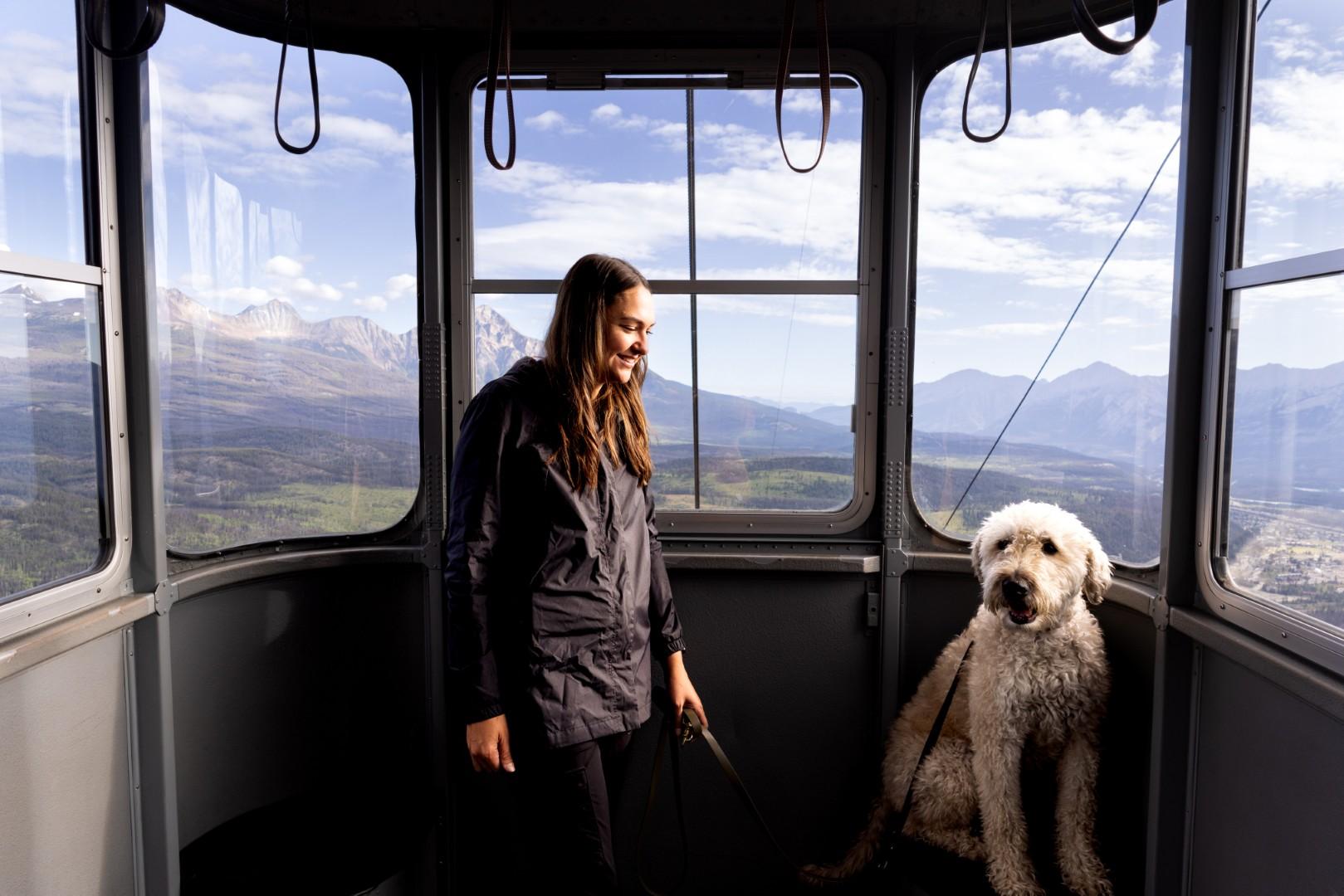 Jasper SkyTram aerial tramway cable car ascending Whistlers Mountain, Canadian Rockies