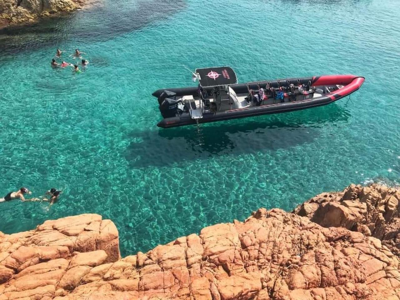 Scandola & Piana Coastal Boat Adventure