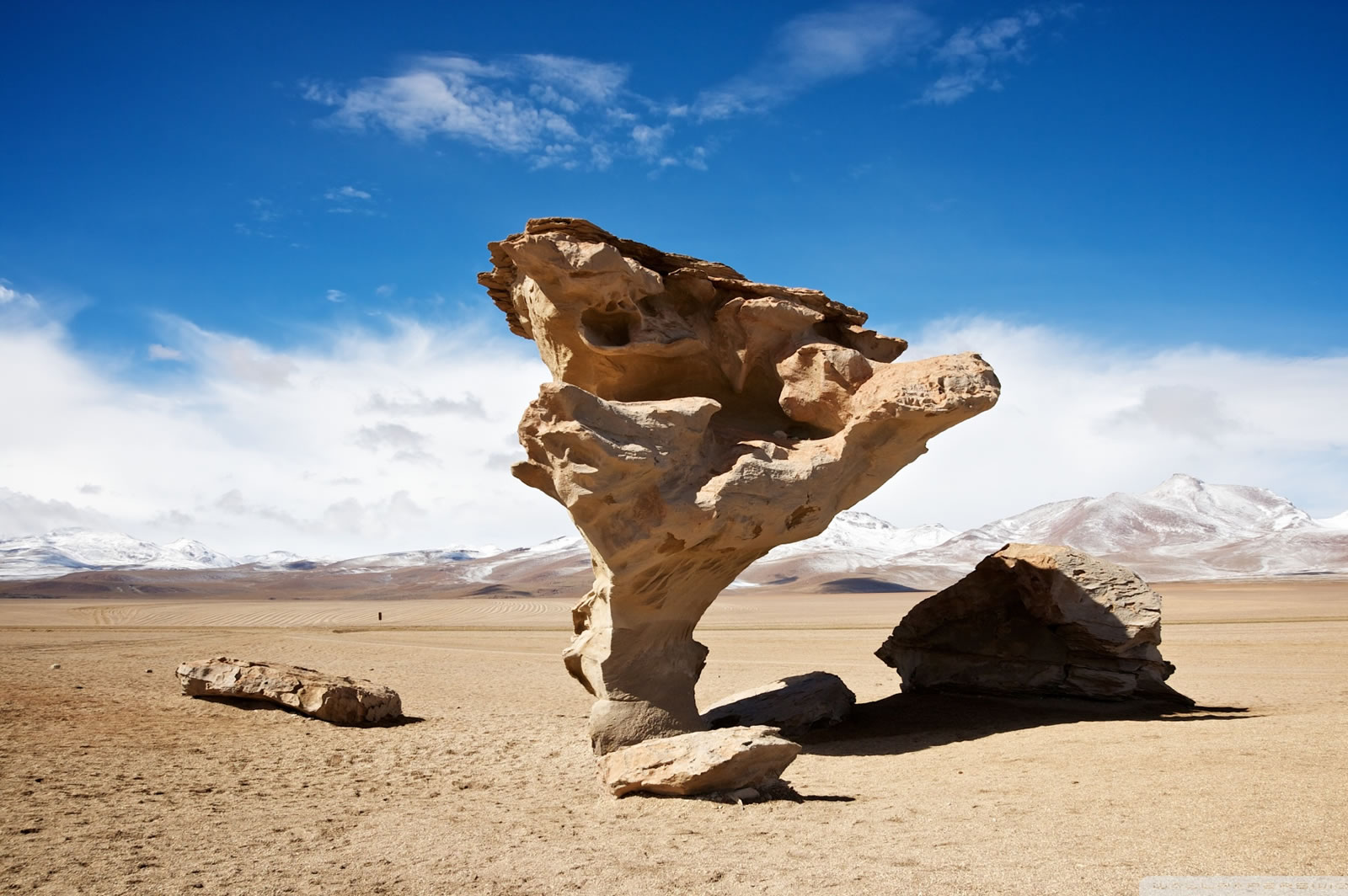 Uyuni Salt Flats Full-Day Expedition by Jeep