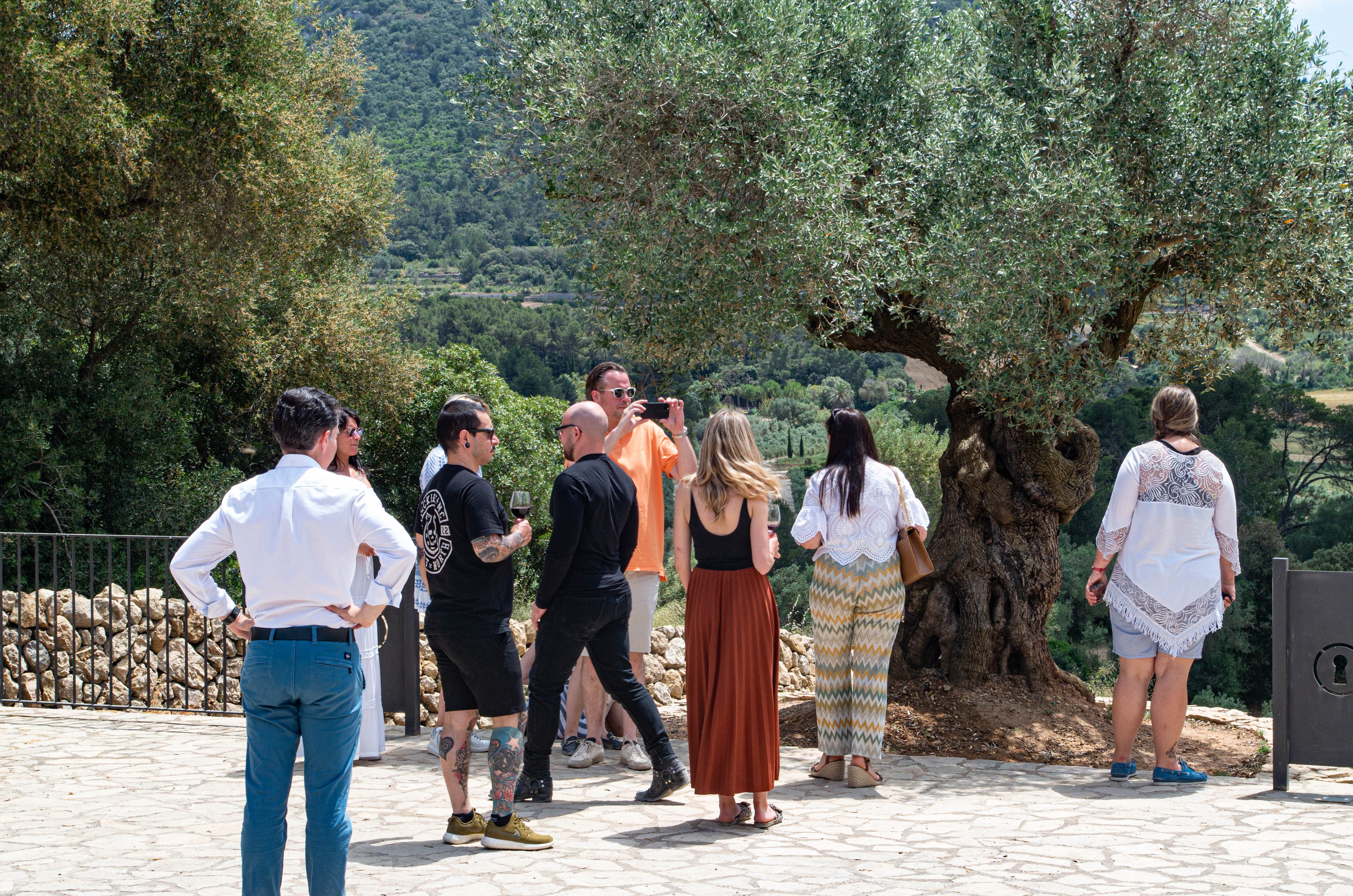 olive oil tasting in Mallorca — photo 11