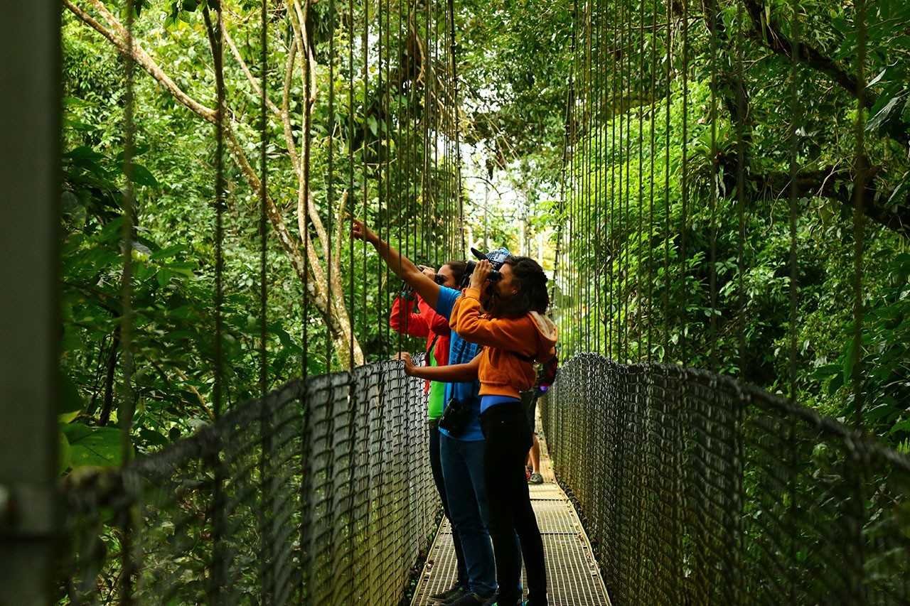 Arenal Volcano & Waterfalls Full-Day Adventure