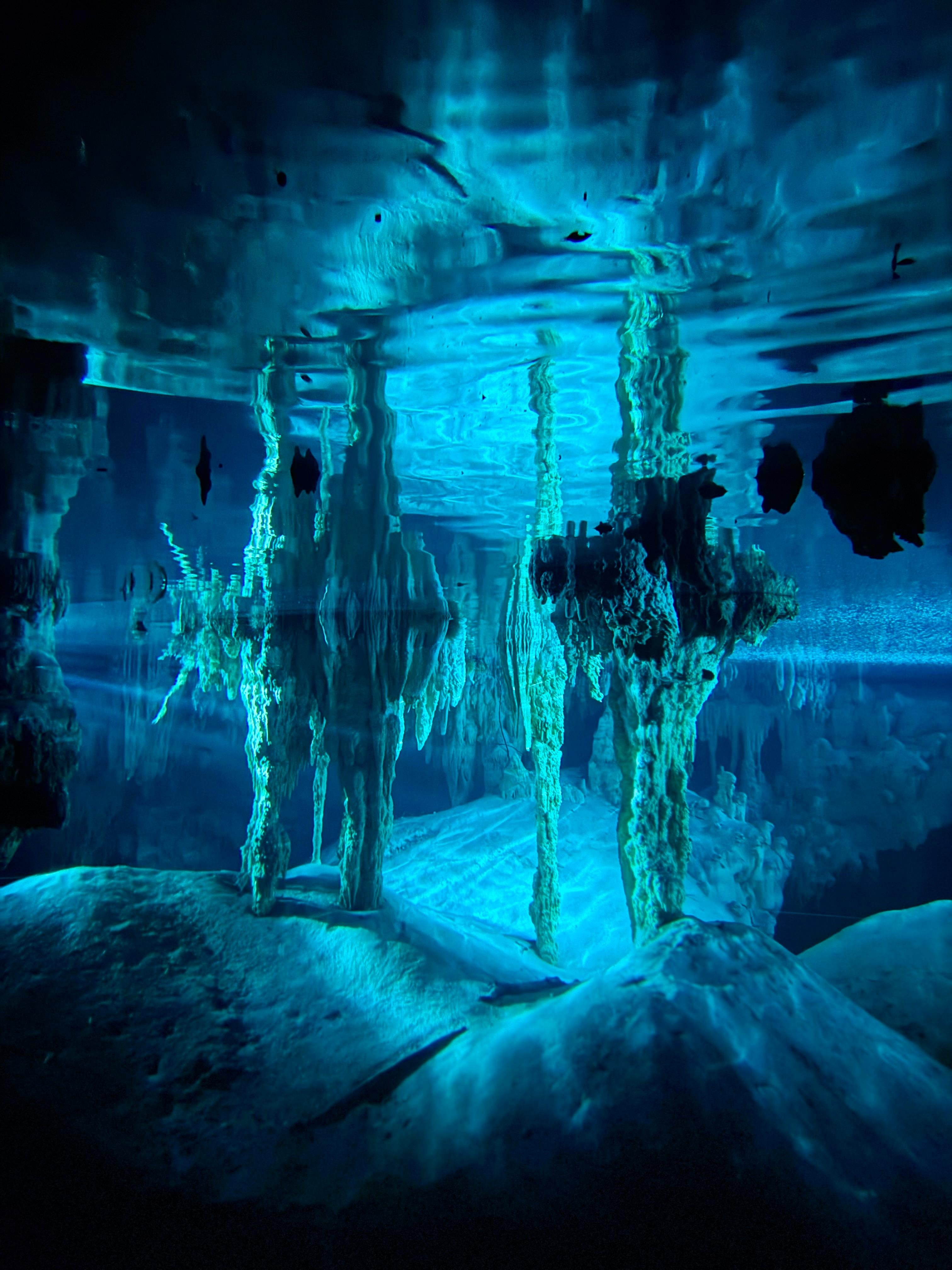 Tulum Cave Cenotes Jungle Walk & Community Meal