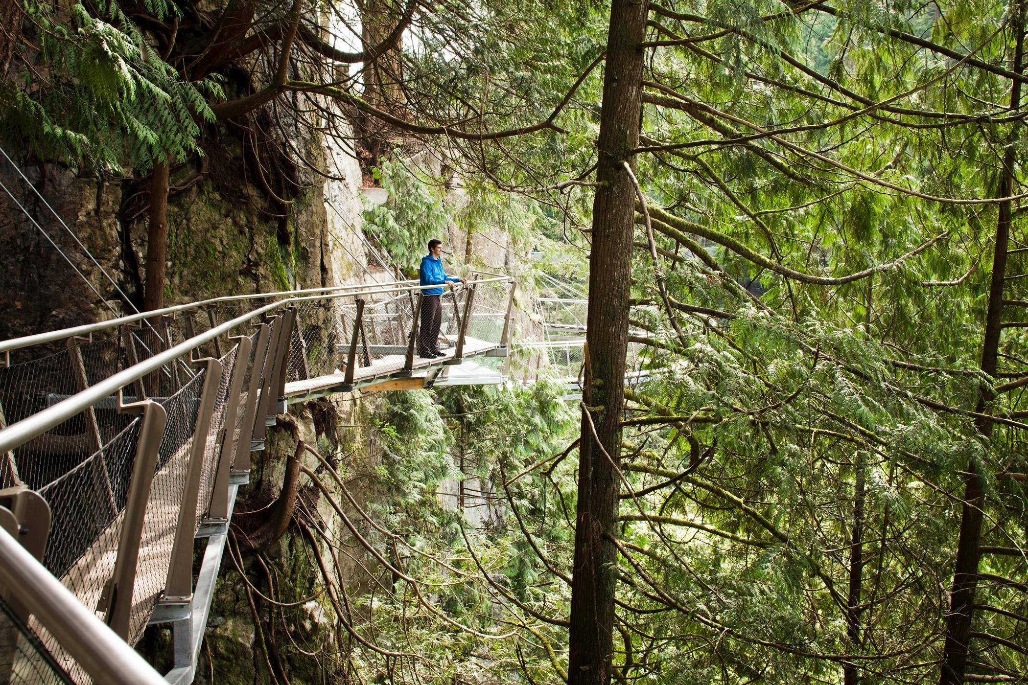 Vancouver Highlights: City Tour, Lookout & Capilano Bridge