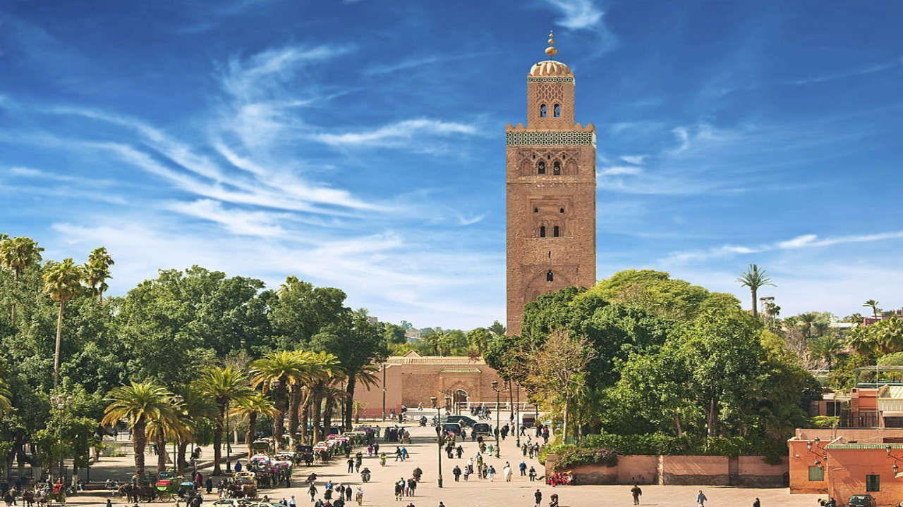 Marrakech Day Tour from Casablanca: Camels & Carriage Ride