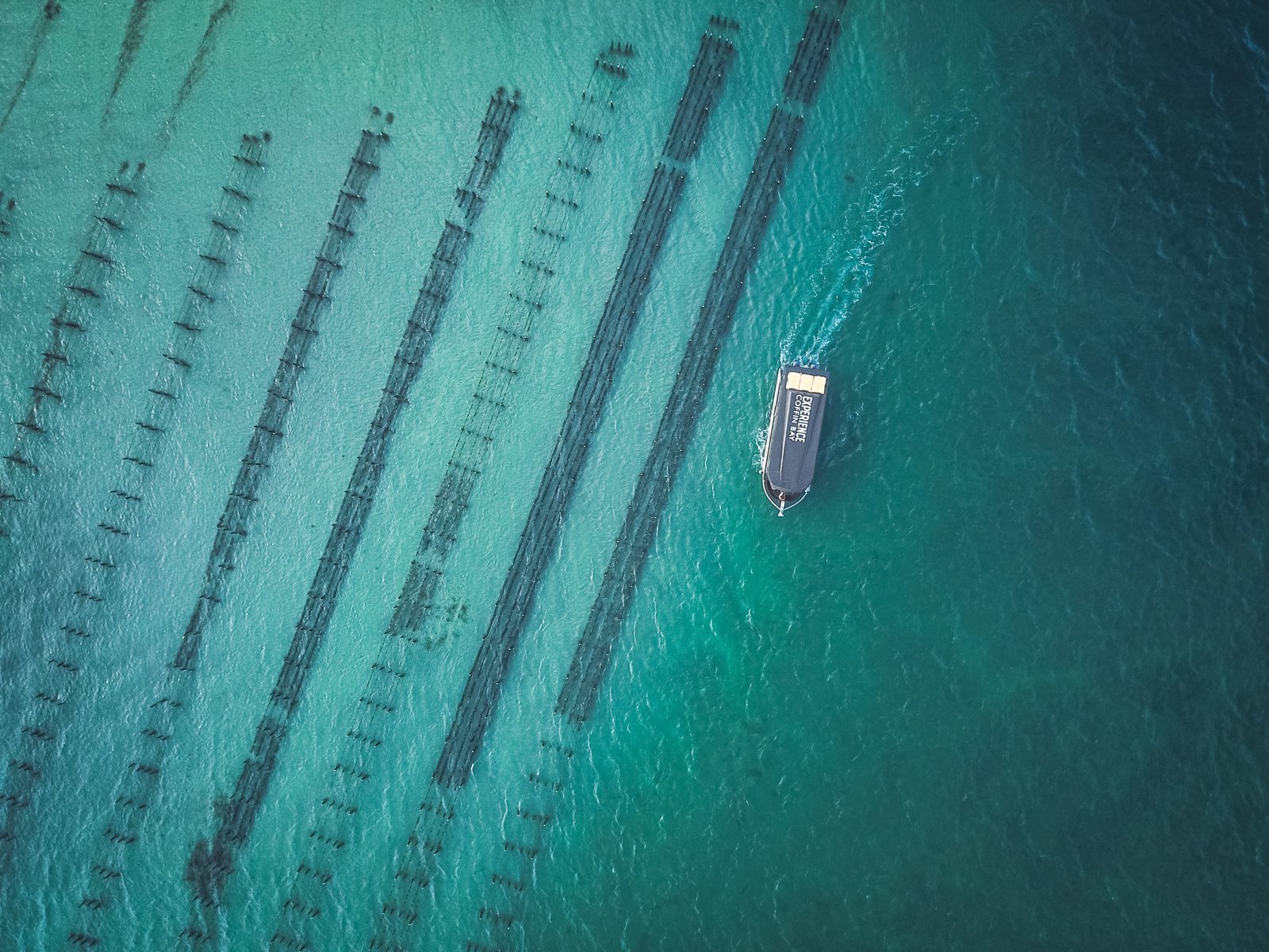 Coffin Bay Seafood & Wine Discovery