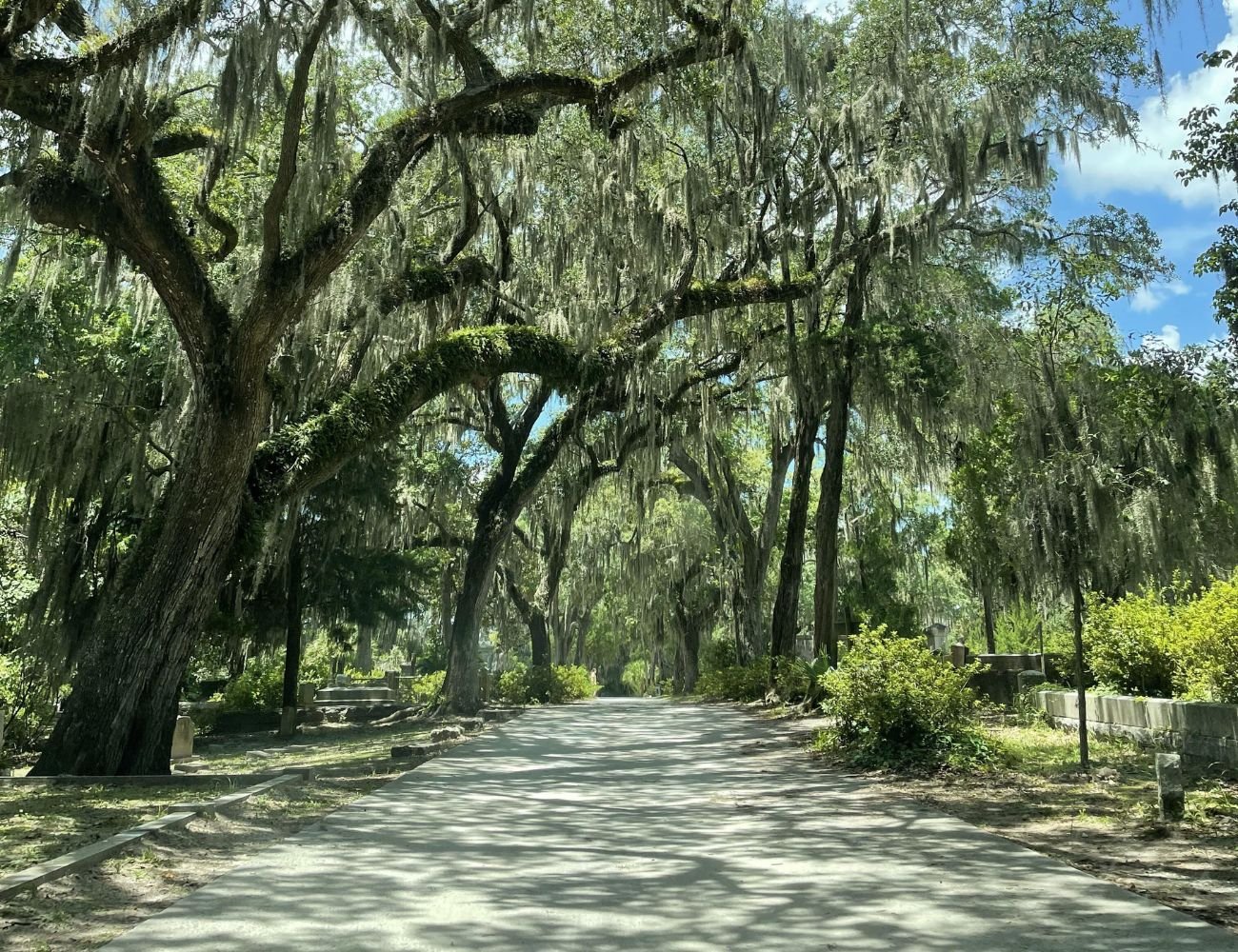 Tombs of Savannah: Bonaventure Cemetery Experience