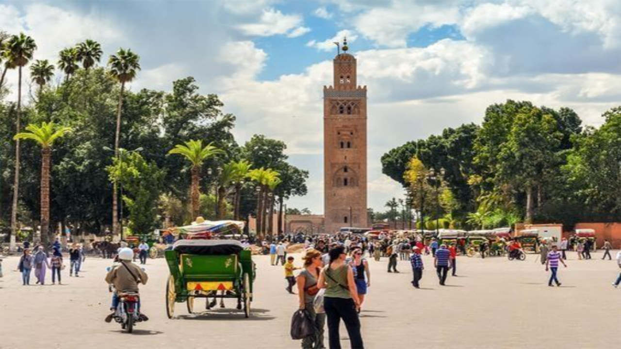 Marrakech Day Tour from Casablanca: Camels & Carriage Ride