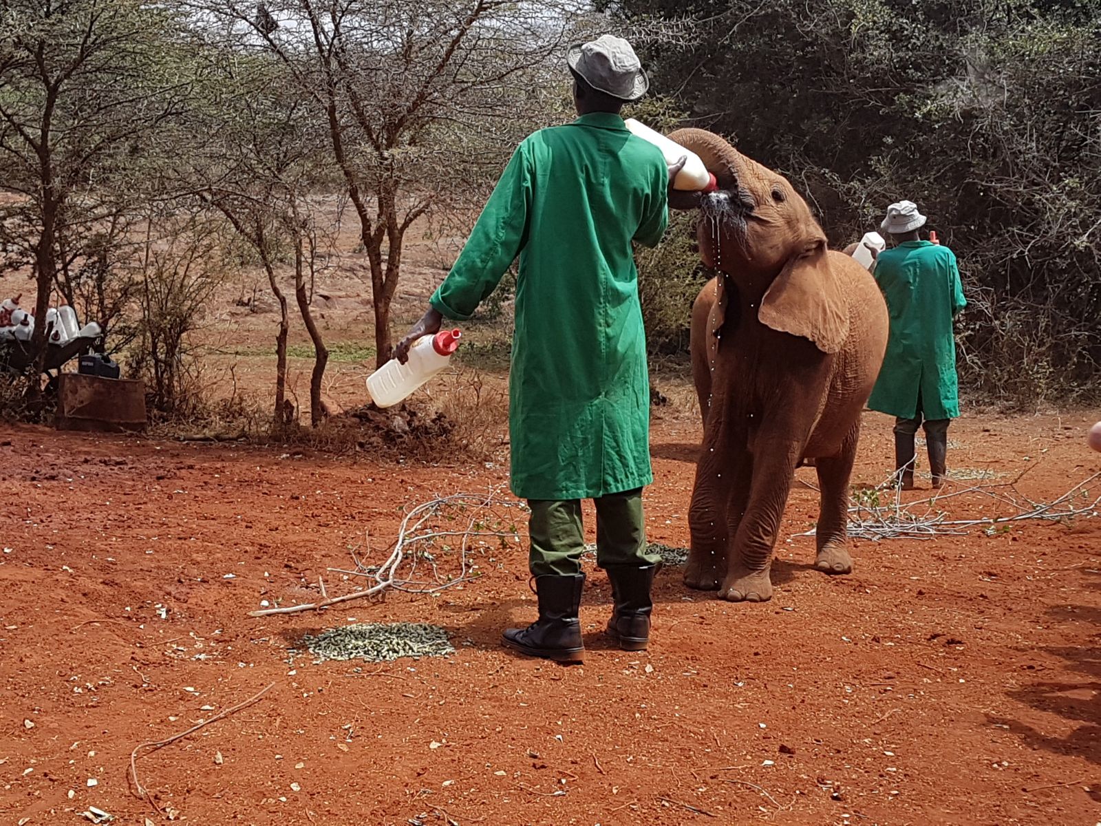 Nairobi: David Sheldrick Elephant Orphanage Visit