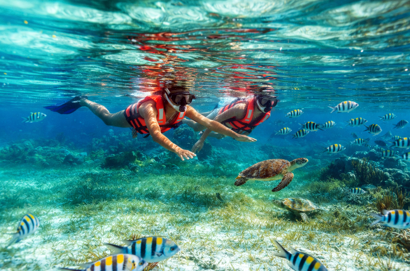 Puerto Morelos: Great Mayan Reef Snorkeling & Beach Lunch