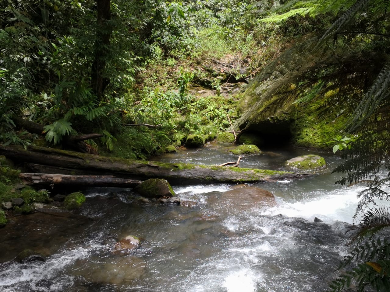 San José: Volcano, Waterfall & Coffee Farm Day Trip
