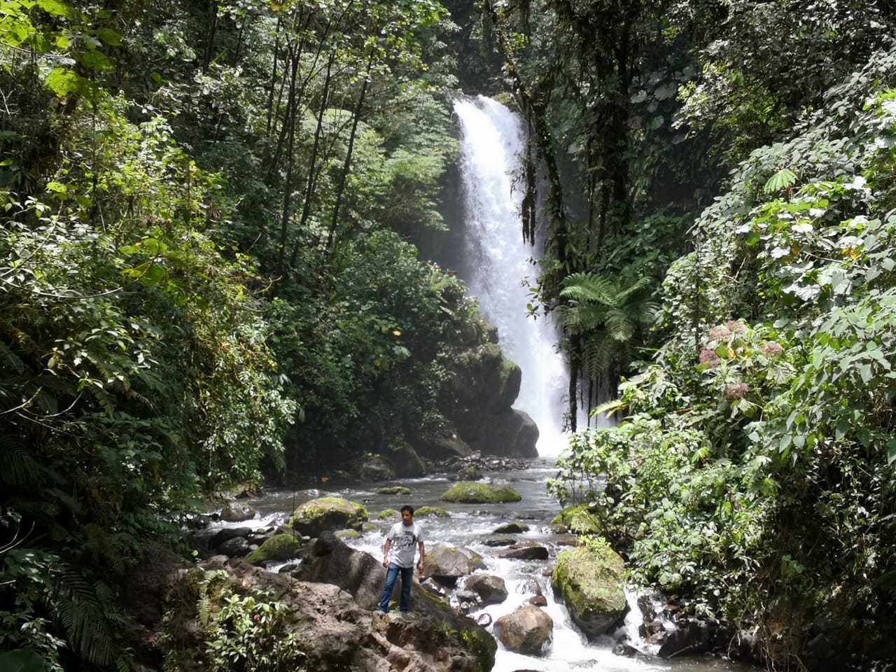 San José: Volcano, Waterfall & Coffee Farm Day Trip
