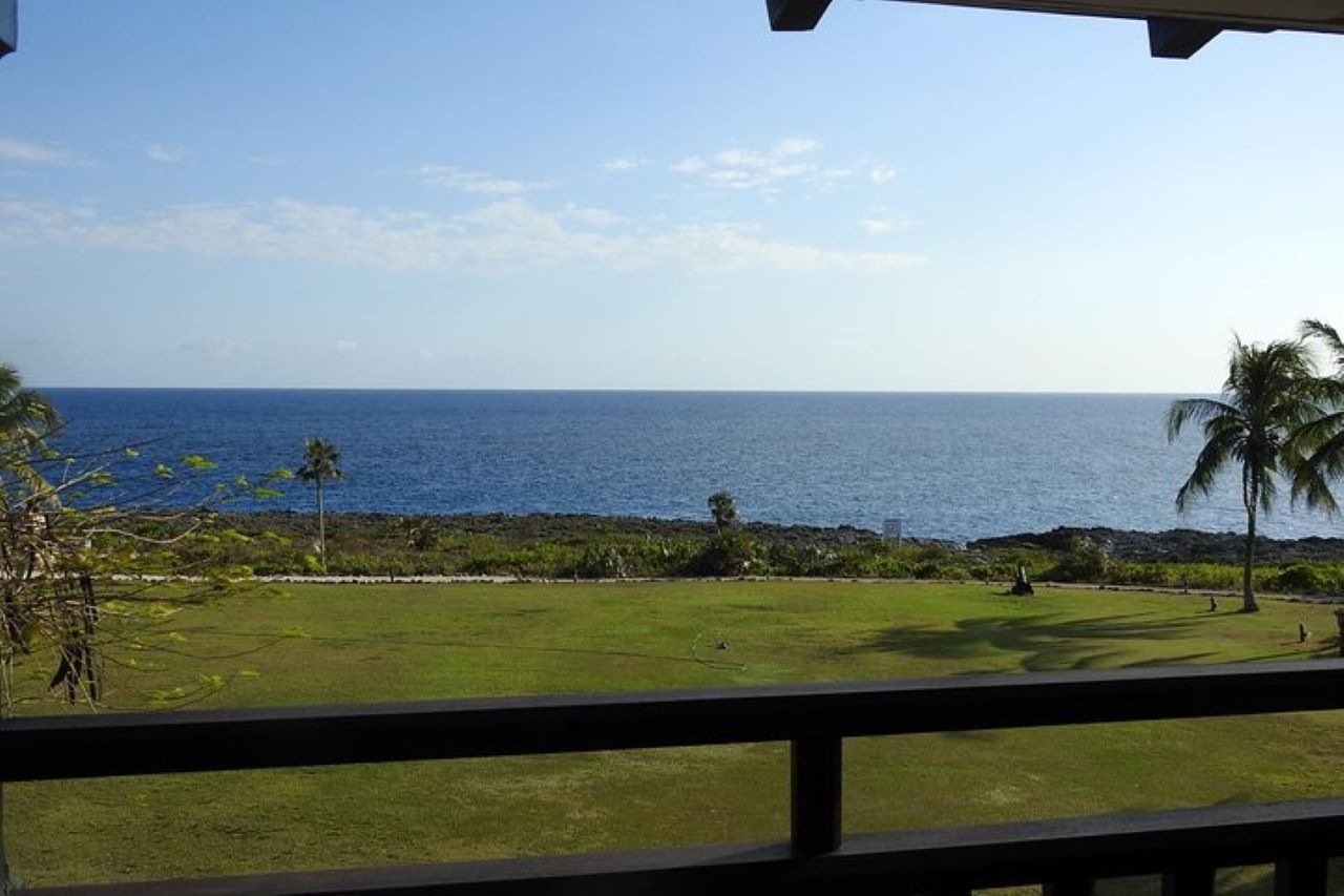 From George Town: Full Island Tour of Grand Cayman - 2026 (Verified Reviews)