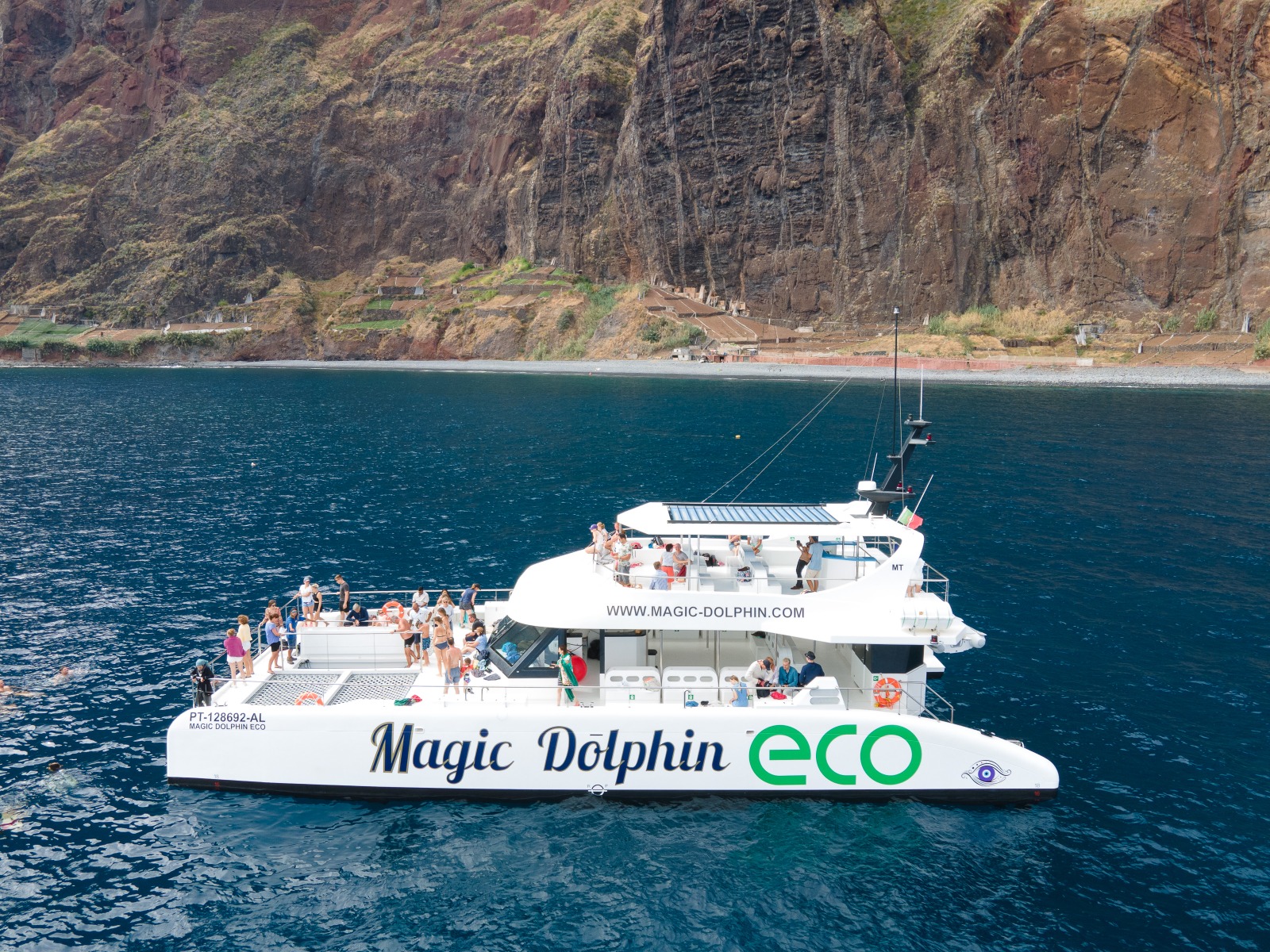 Funchal: Eco-Friendly Catamaran Cruise for Dolphin & Whale Spotting