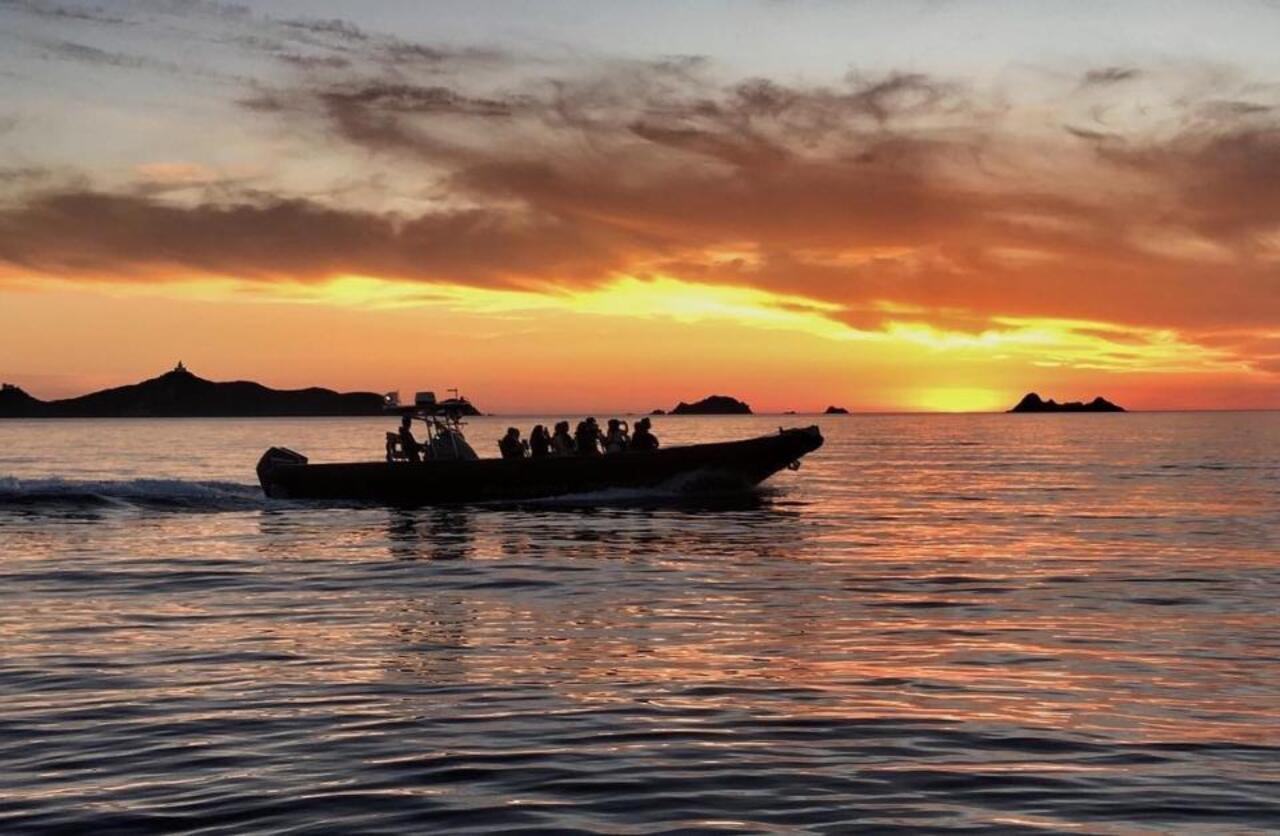 Sanguinaires Islands Sunset RIB Cruise with Corsican Aperitif