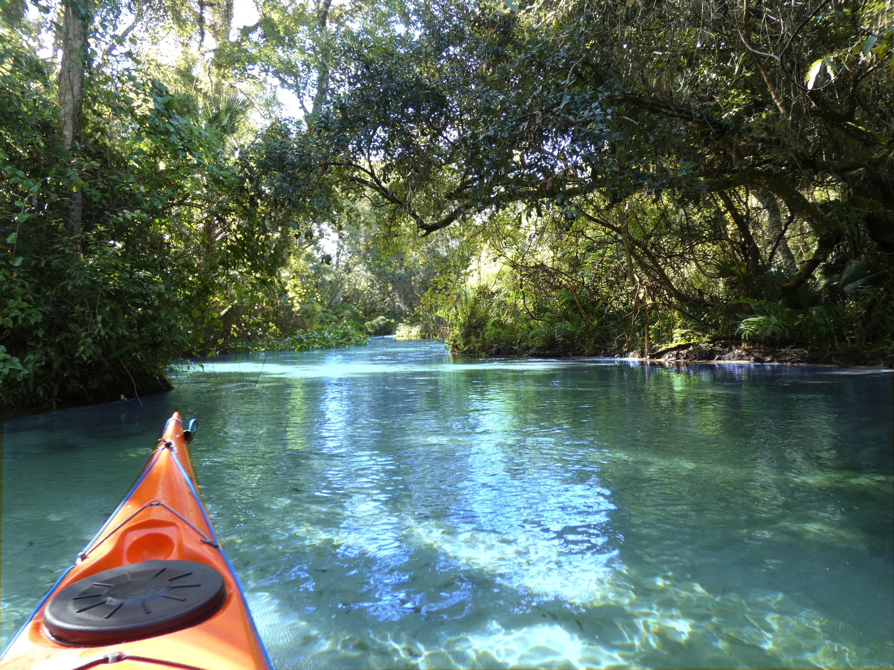 Small-Group Kayaking Experience at Rock Springs Run