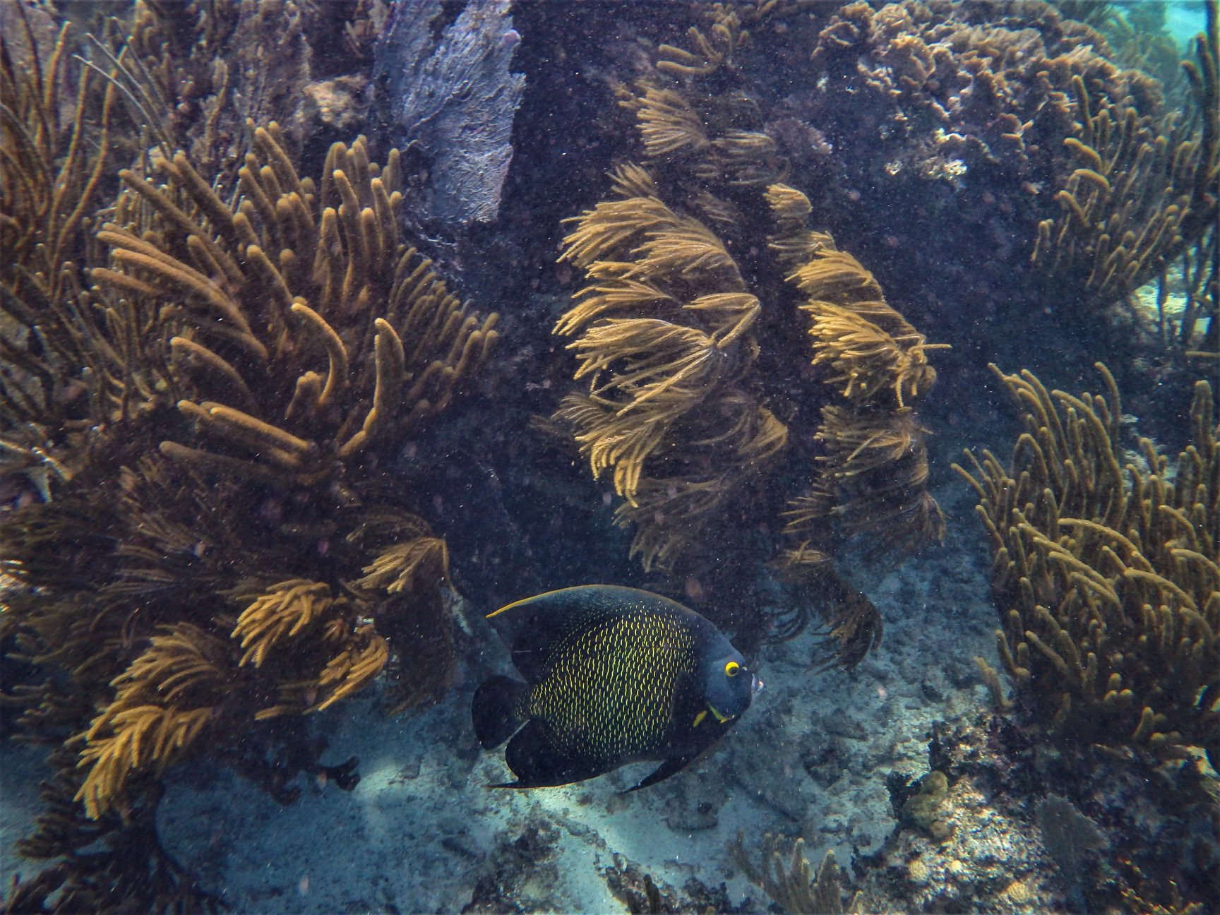 Sian Ka'an Boat Adventure & Snorkel Day Trip from Tulum with Lunch