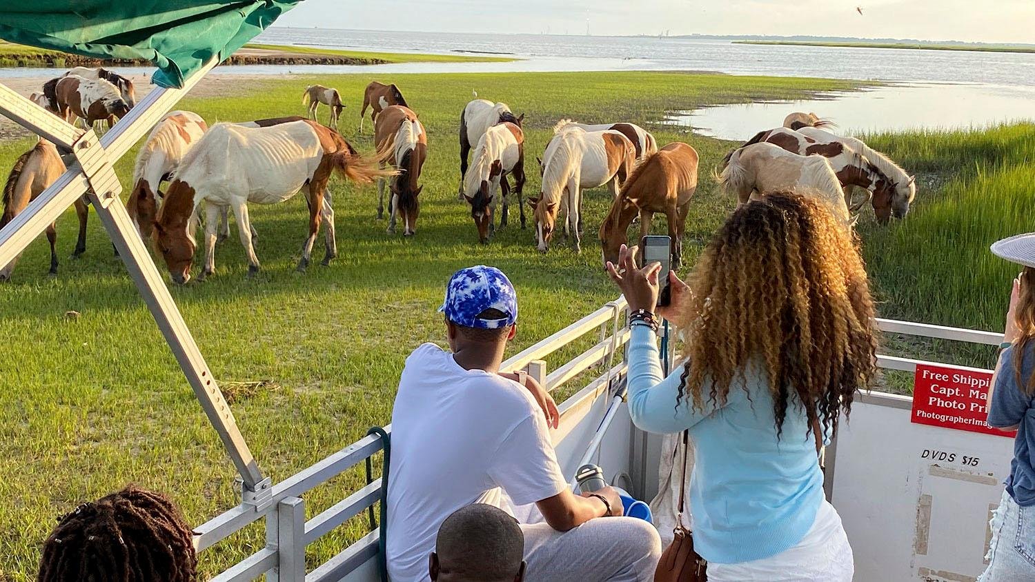 Assateague Island Sunset Boat Cruise